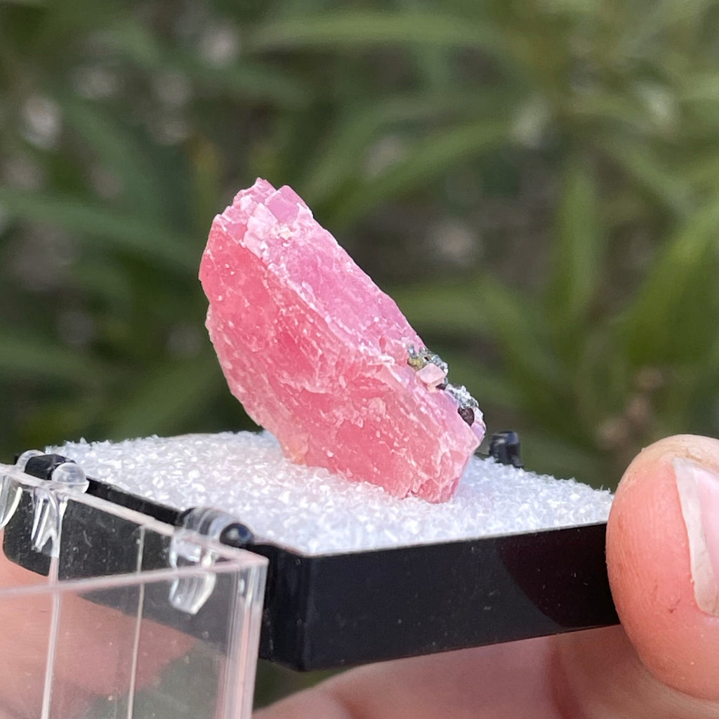 MN0080-Rhodochrosite (Tn)