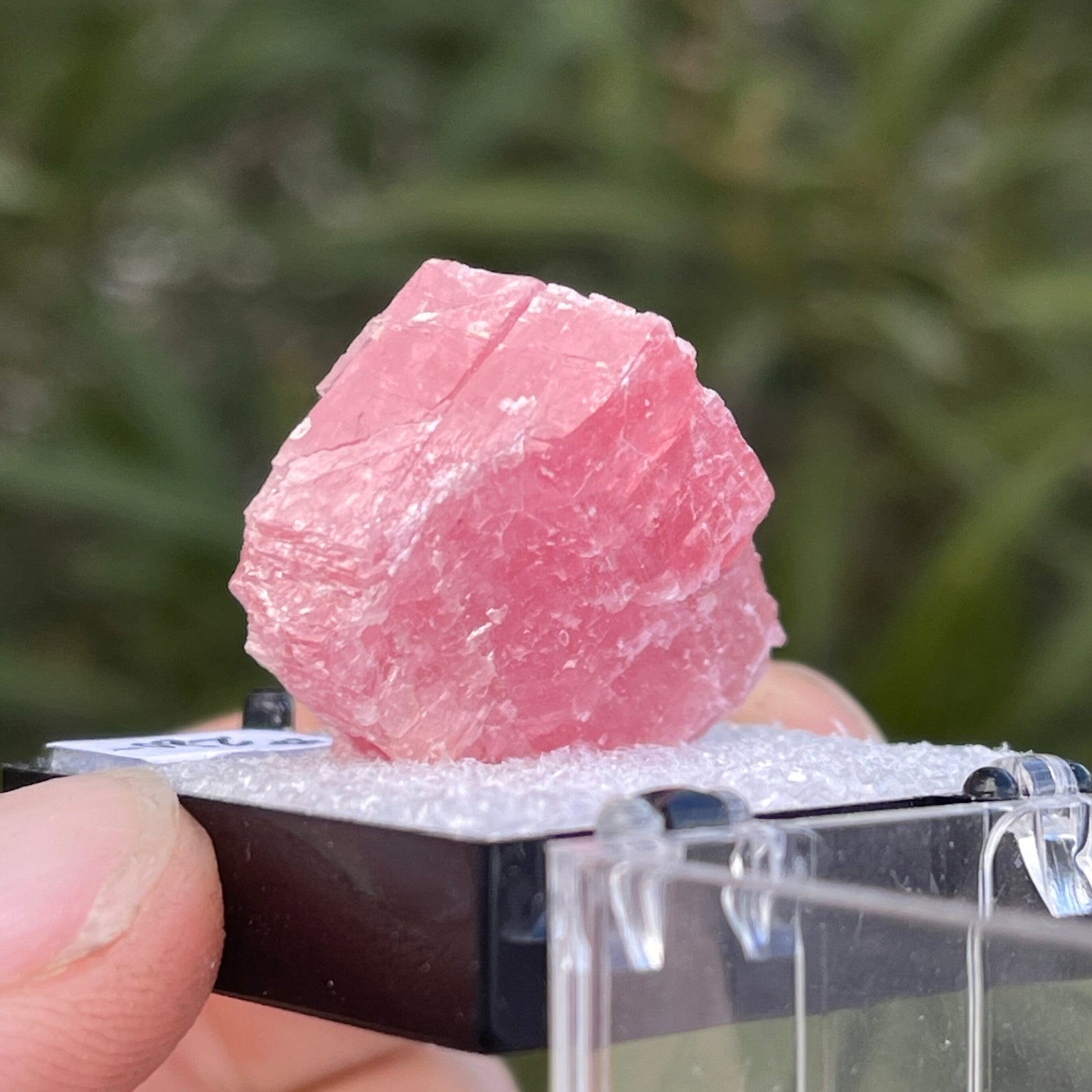 MN0080-Rhodochrosite (Tn)