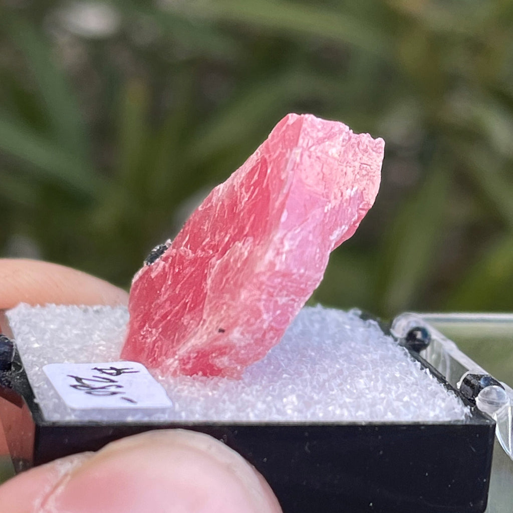 MN0080-Rhodochrosite (Tn)