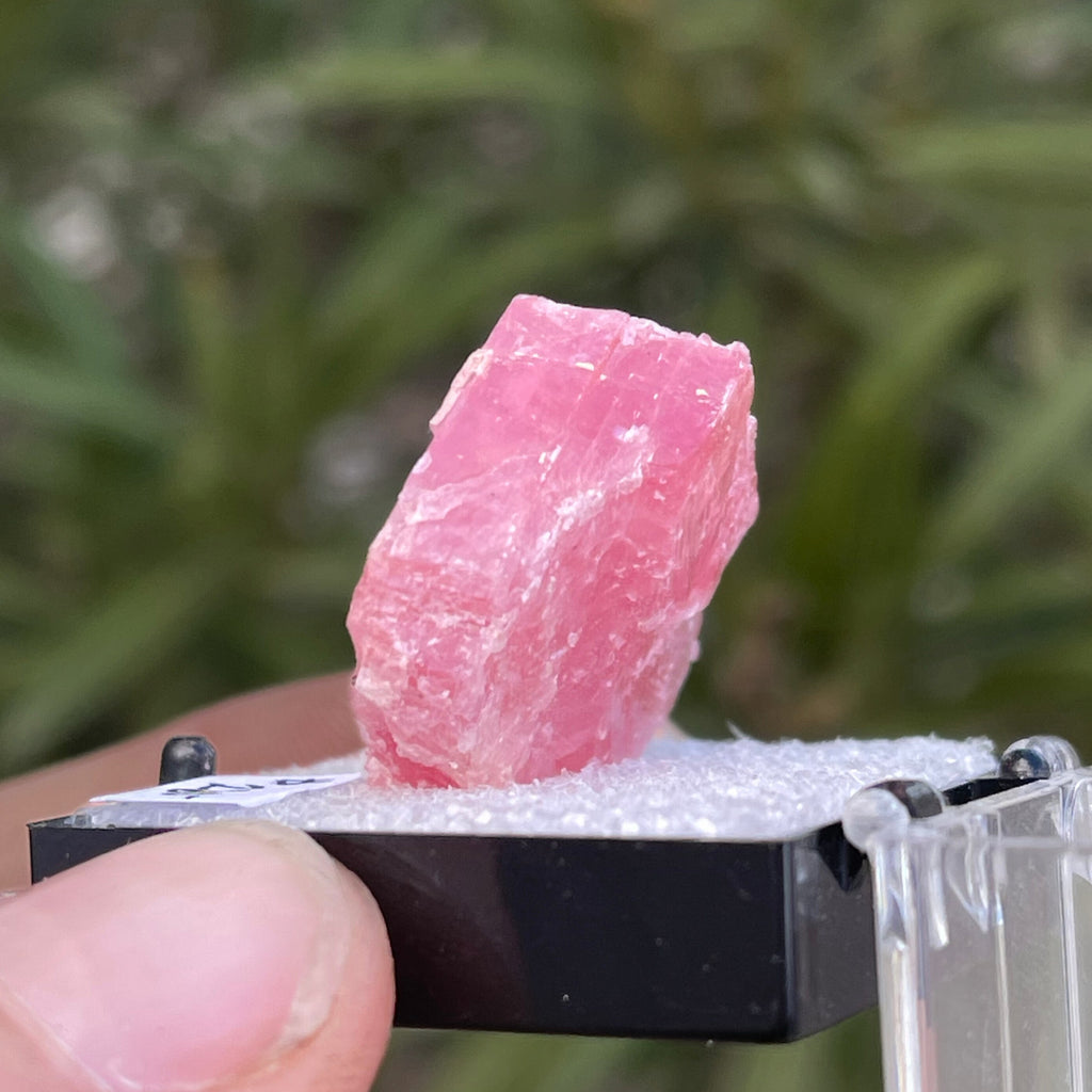 MN0080-Rhodochrosite (Tn)