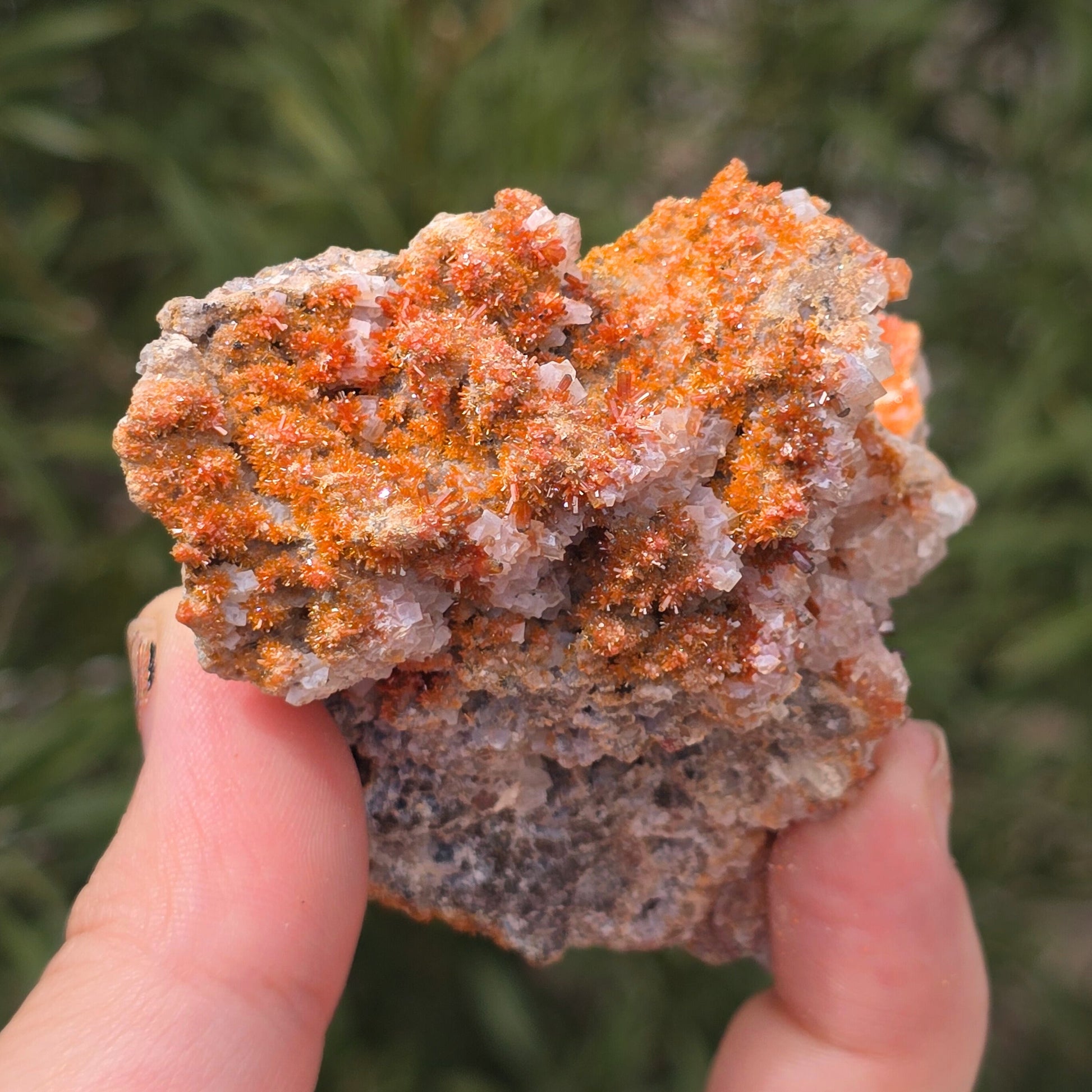 MN0100-Vanadinite On Calcite
