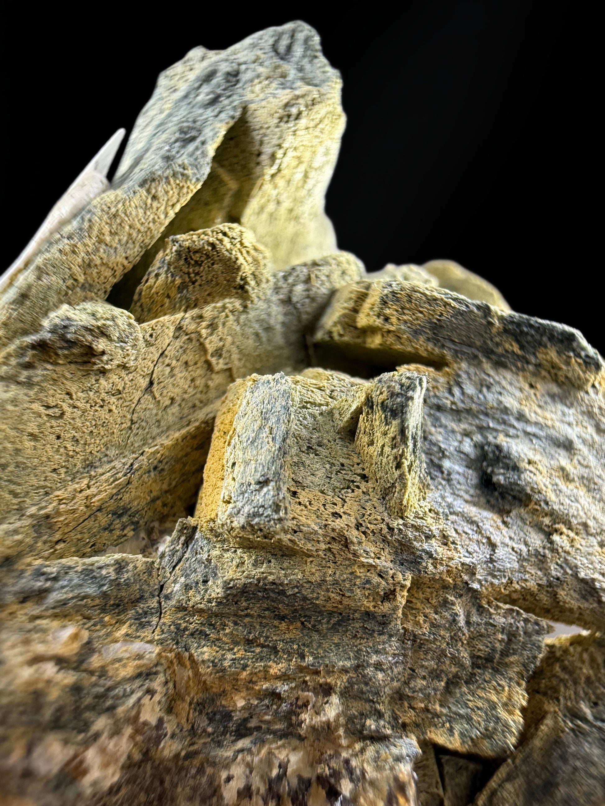 MN0111-Uralite (Actinolite After Diposide)