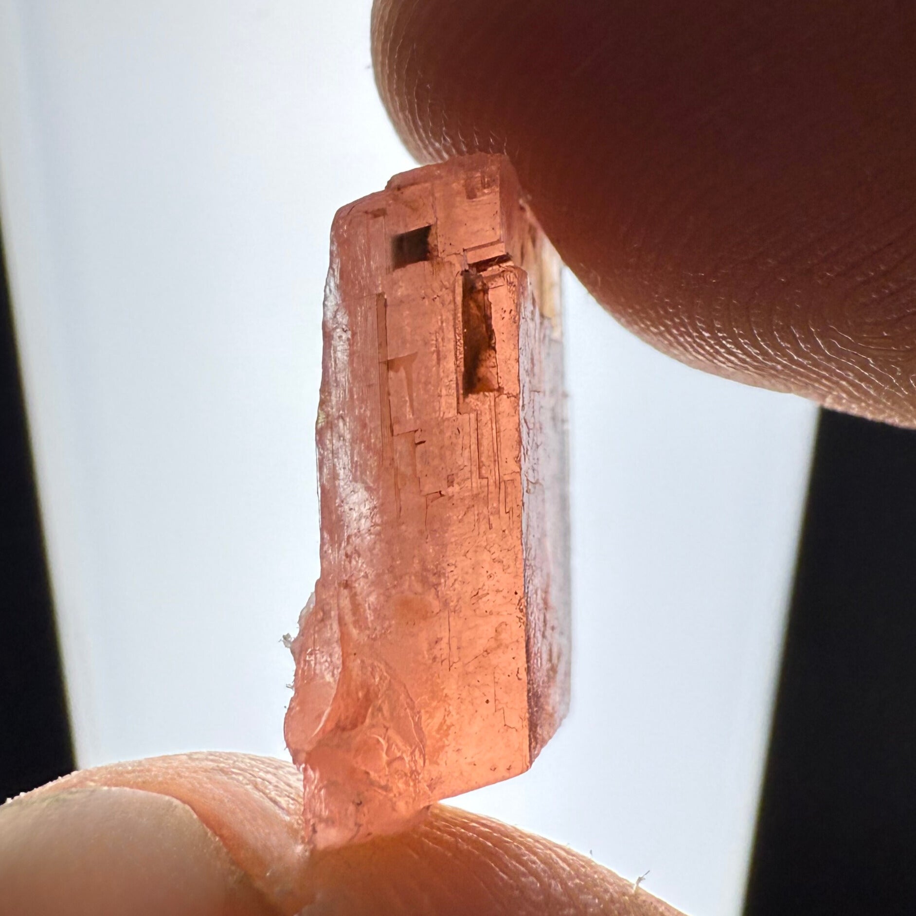 MN0126-Rhodochrosite