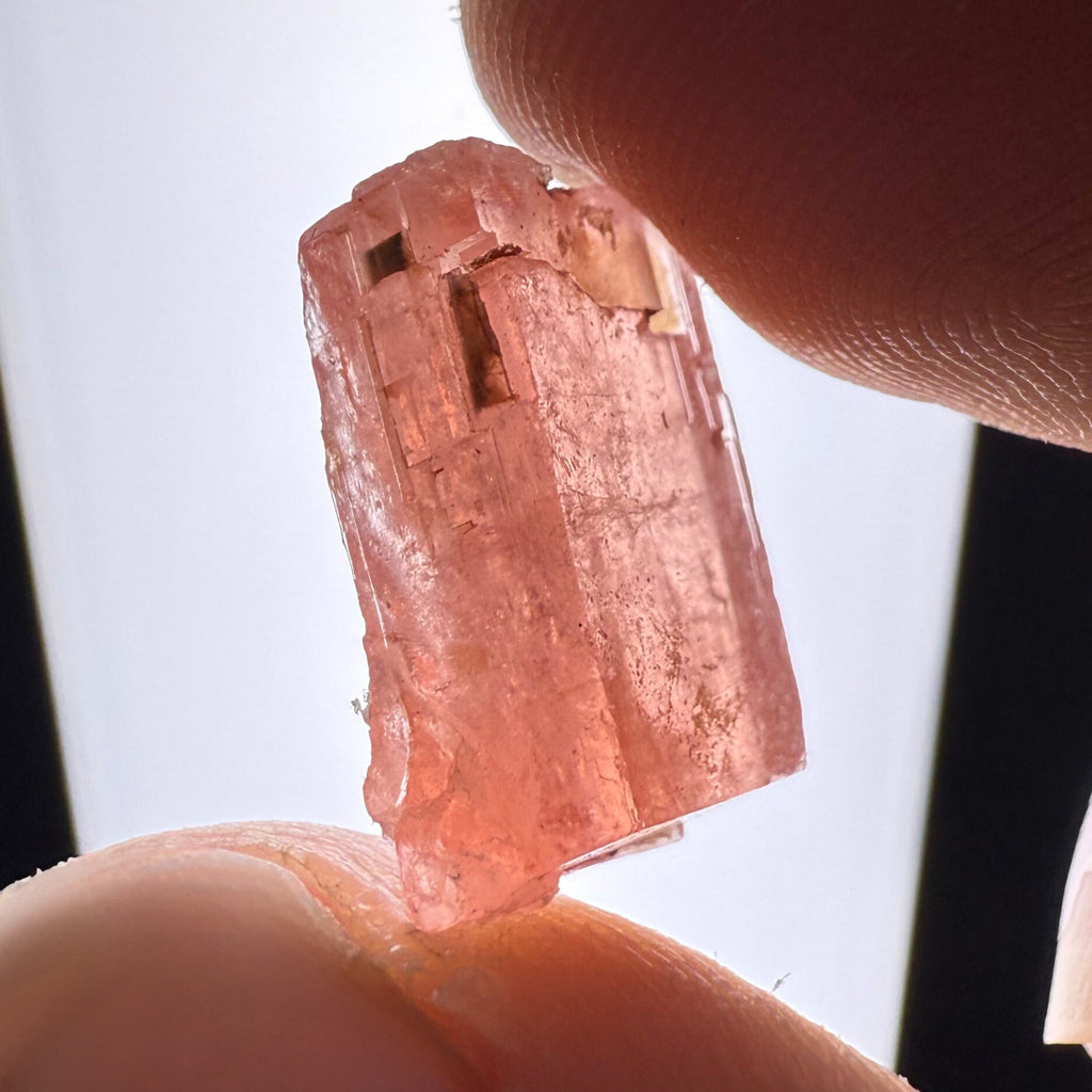 MN0126-Rhodochrosite