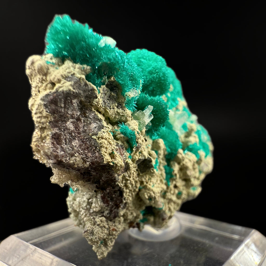MN0256-Dioptase
