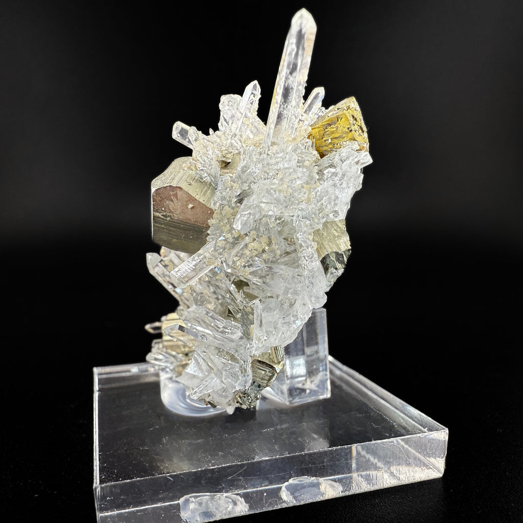 MN0258-Pyrite W/ Quartz