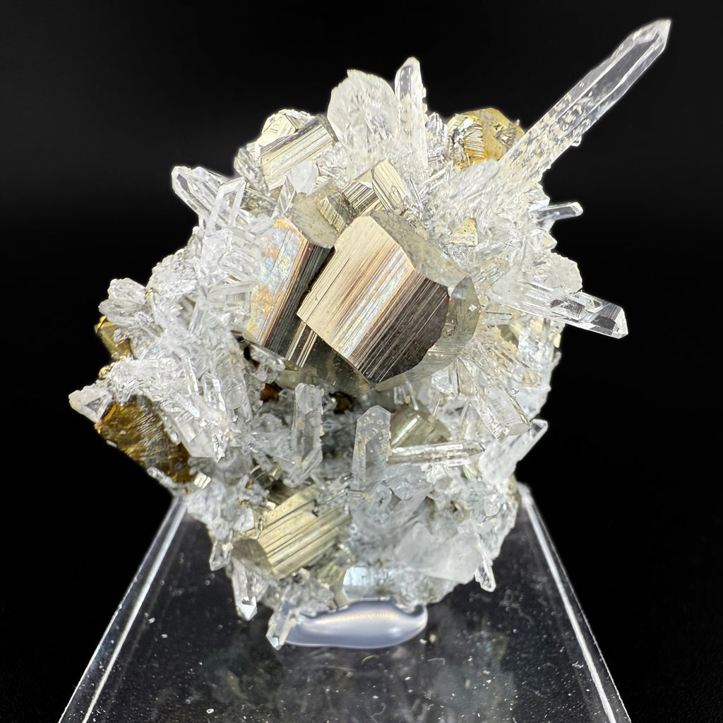 MN0258-Pyrite W/ Quartz