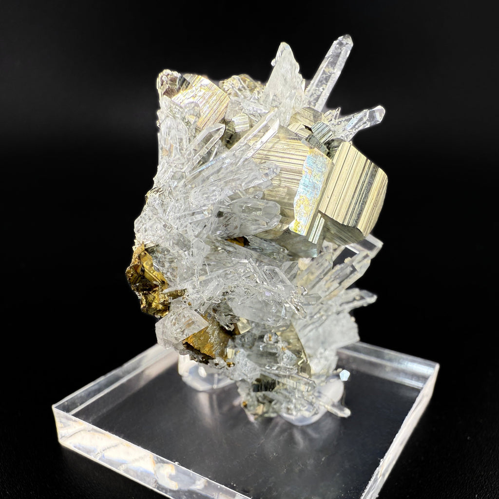 MN0258-Pyrite W/ Quartz