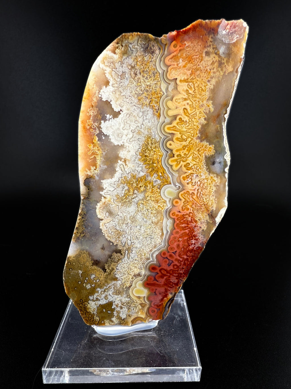 MN0273-Laguna Agate