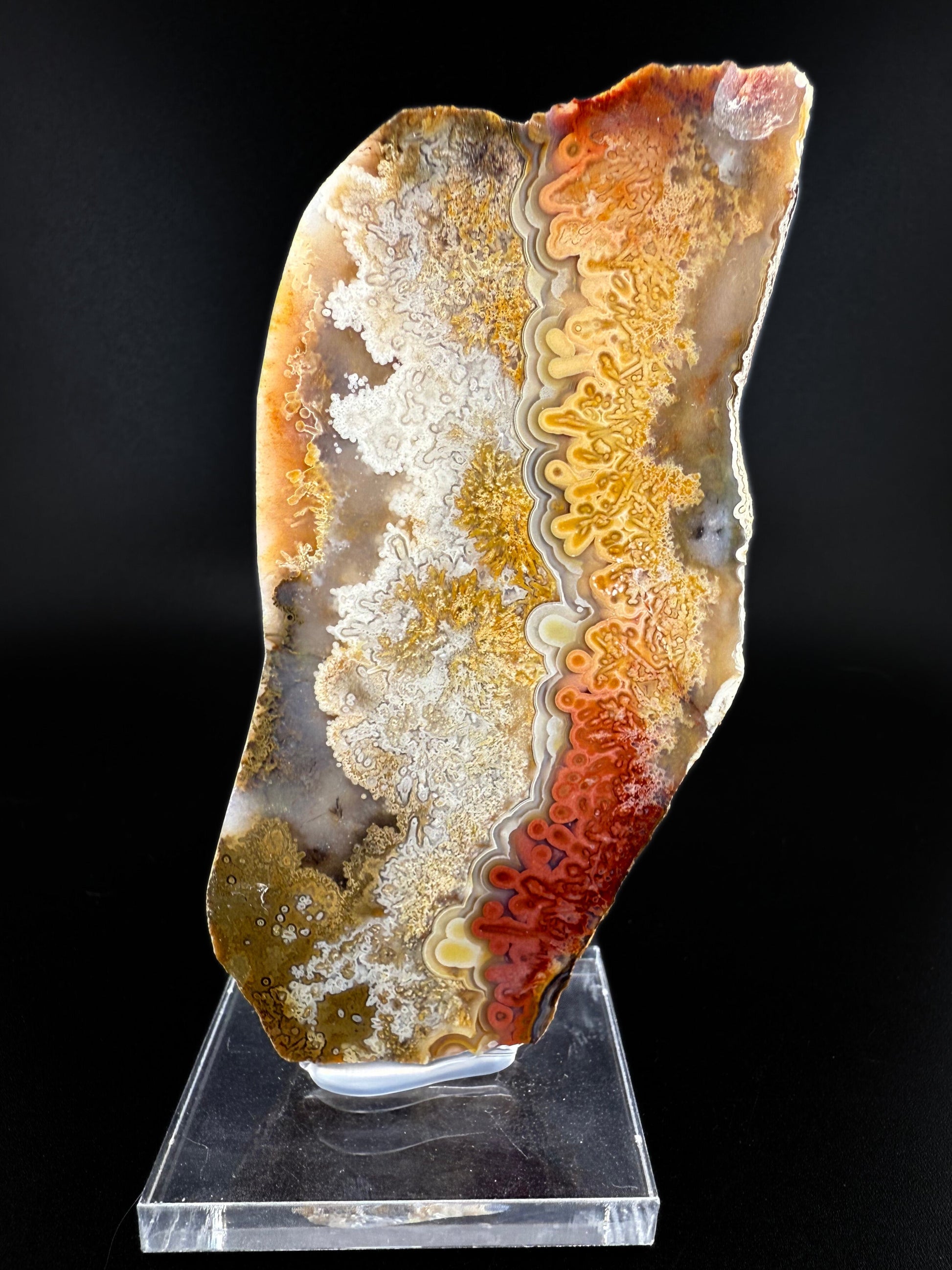 MN0273-Laguna Agate