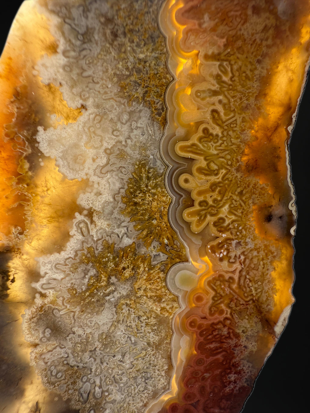 MN0273-Laguna Agate