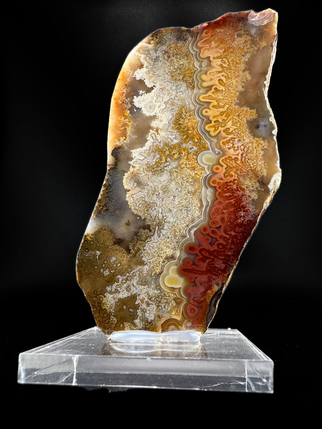 MN0273-Laguna Agate