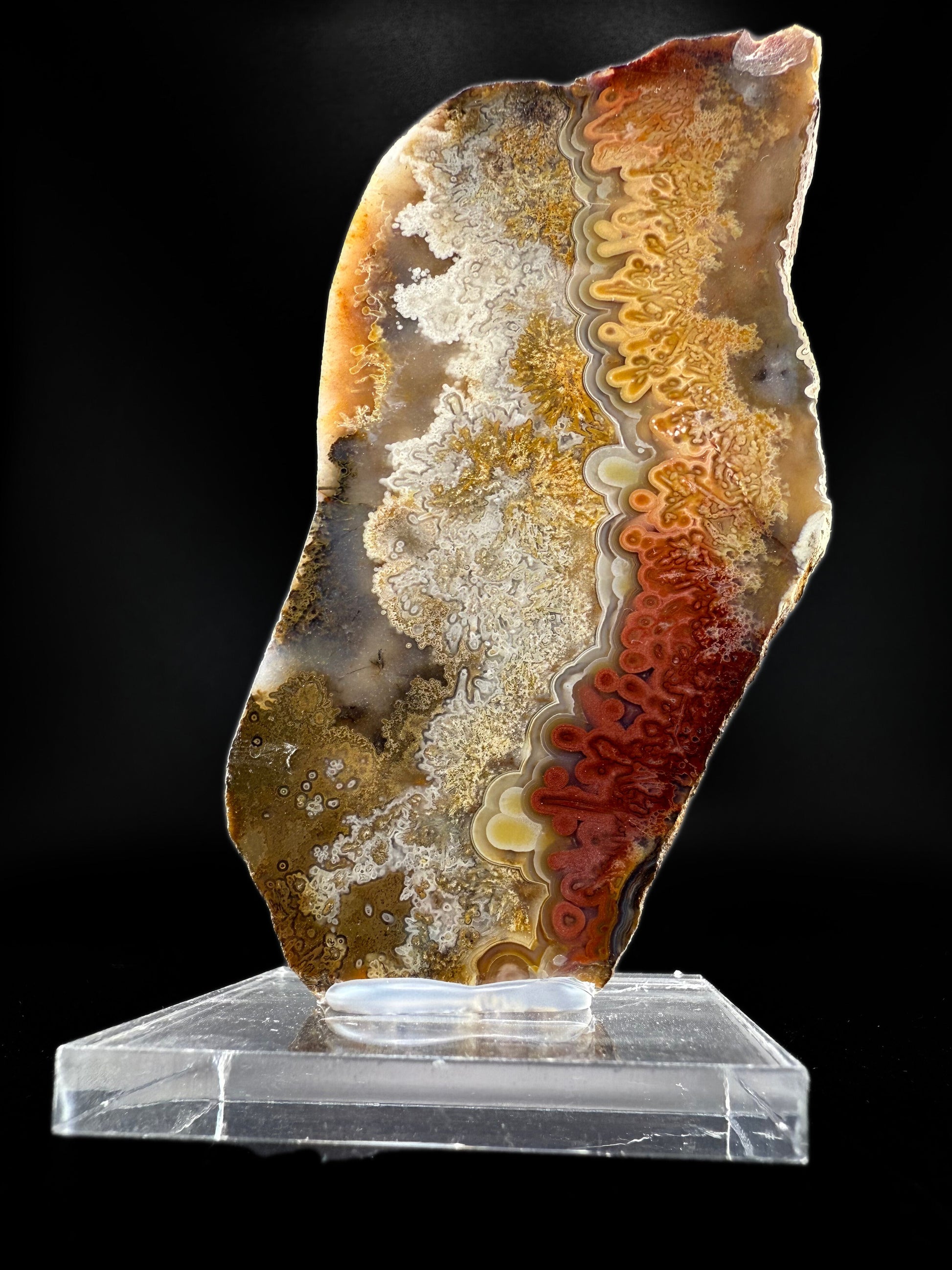 MN0273-Laguna Agate