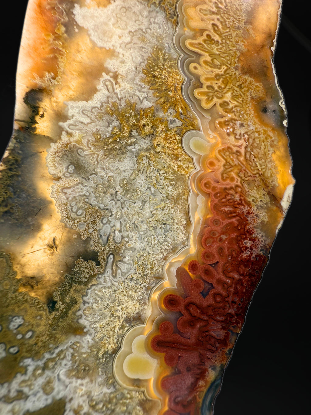 MN0273-Laguna Agate