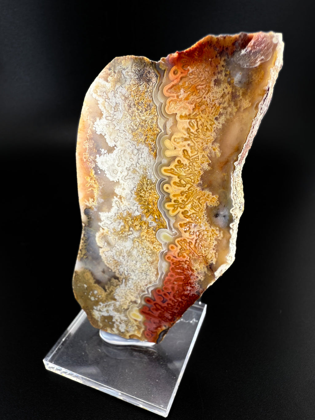 MN0273-Laguna Agate