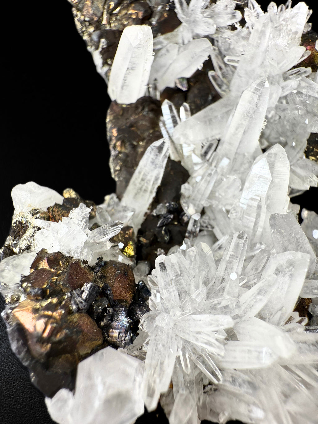 MN0277-Pyrite & Quartz