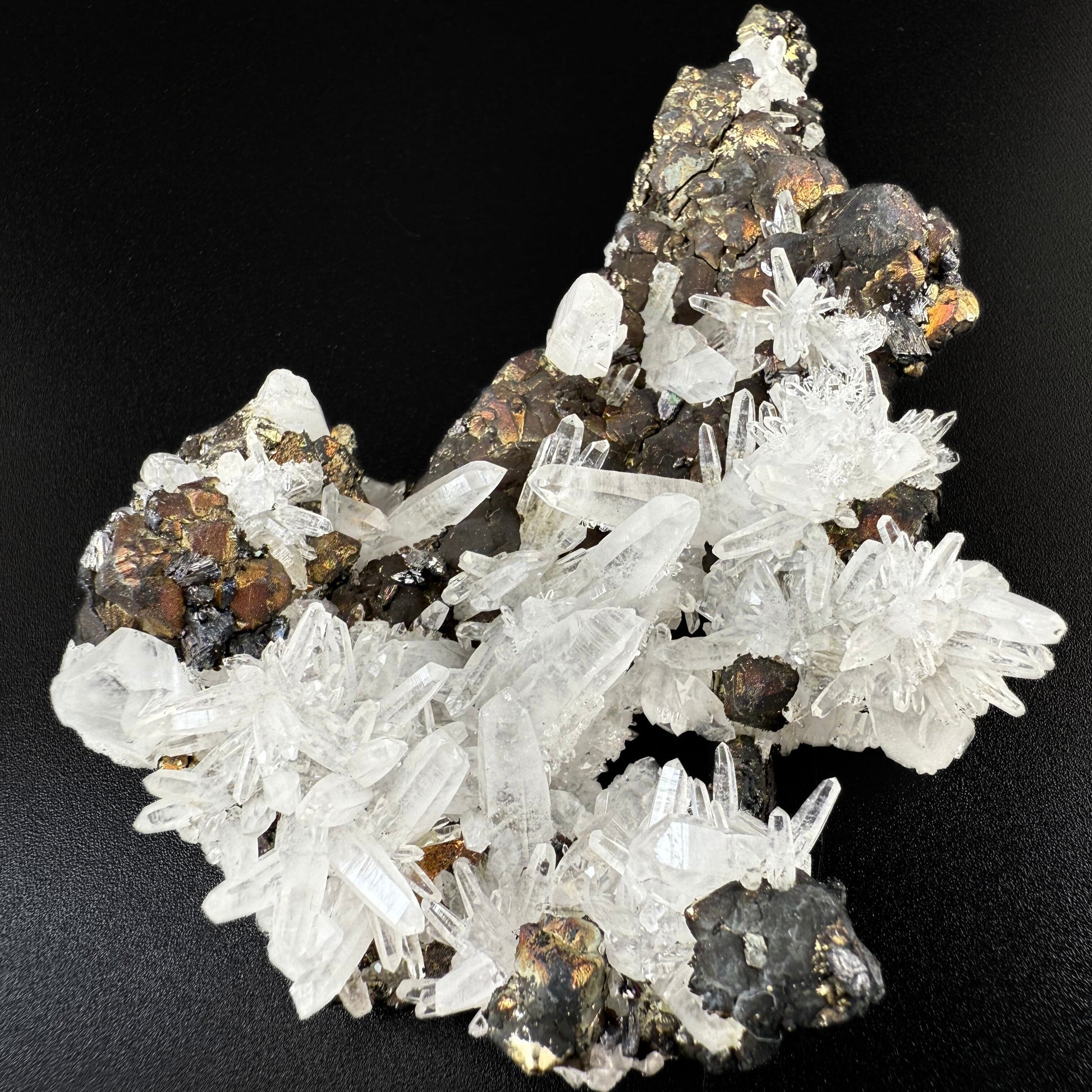 MN0277-Pyrite & Quartz