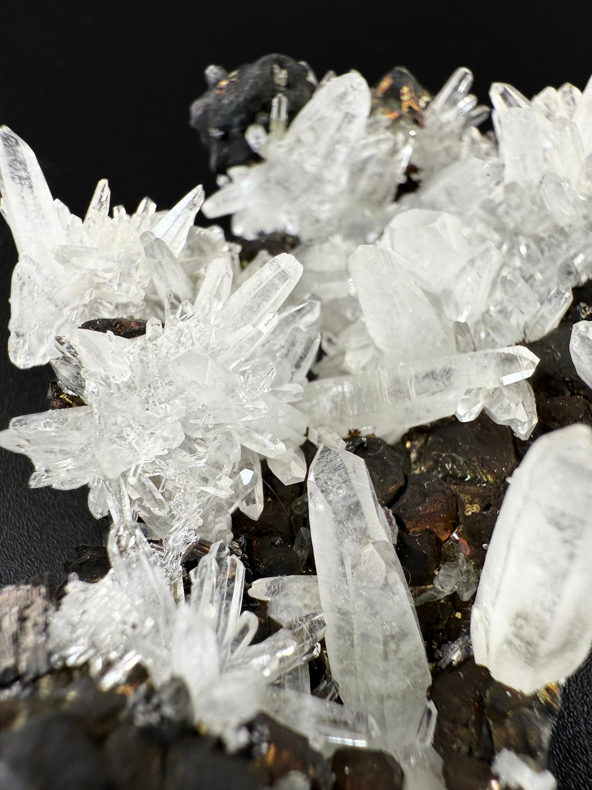 MN0277-Pyrite & Quartz