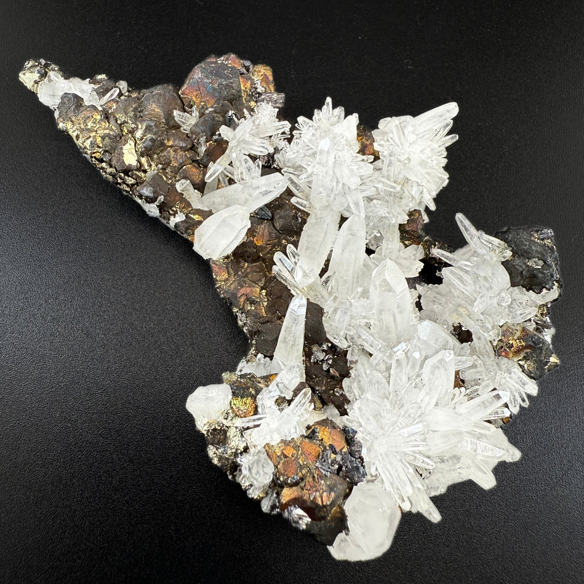 MN0277-Pyrite & Quartz
