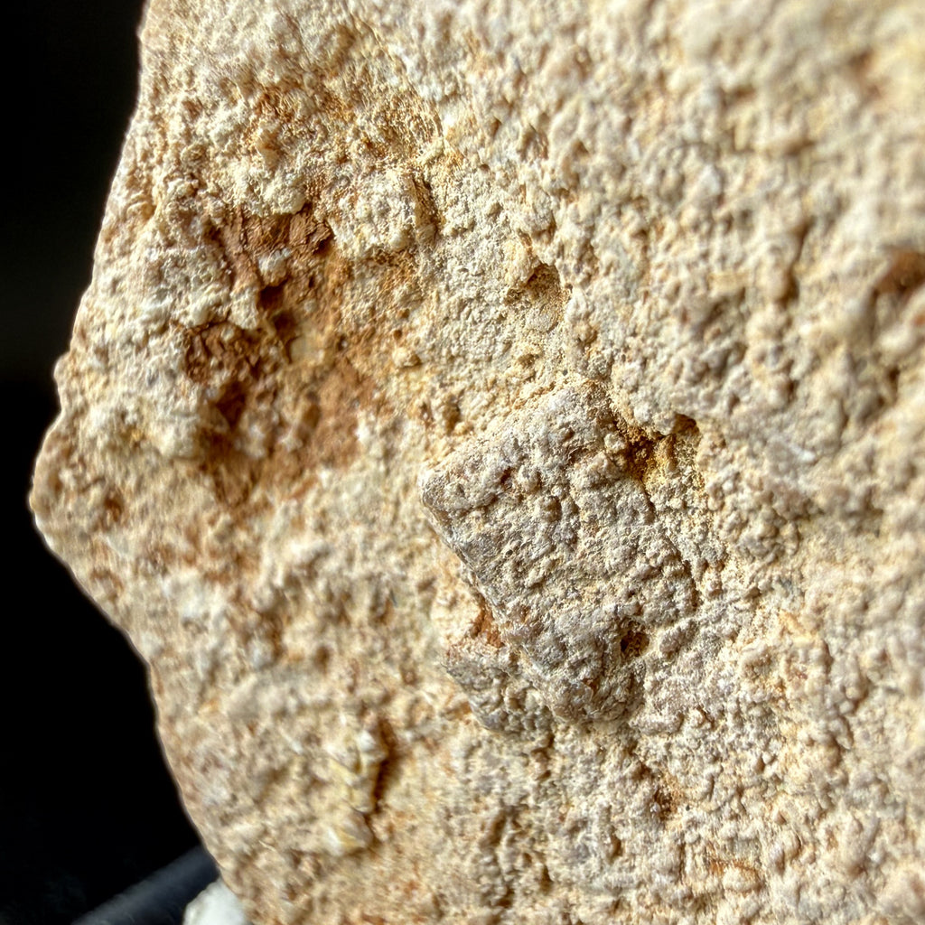 Aragonite