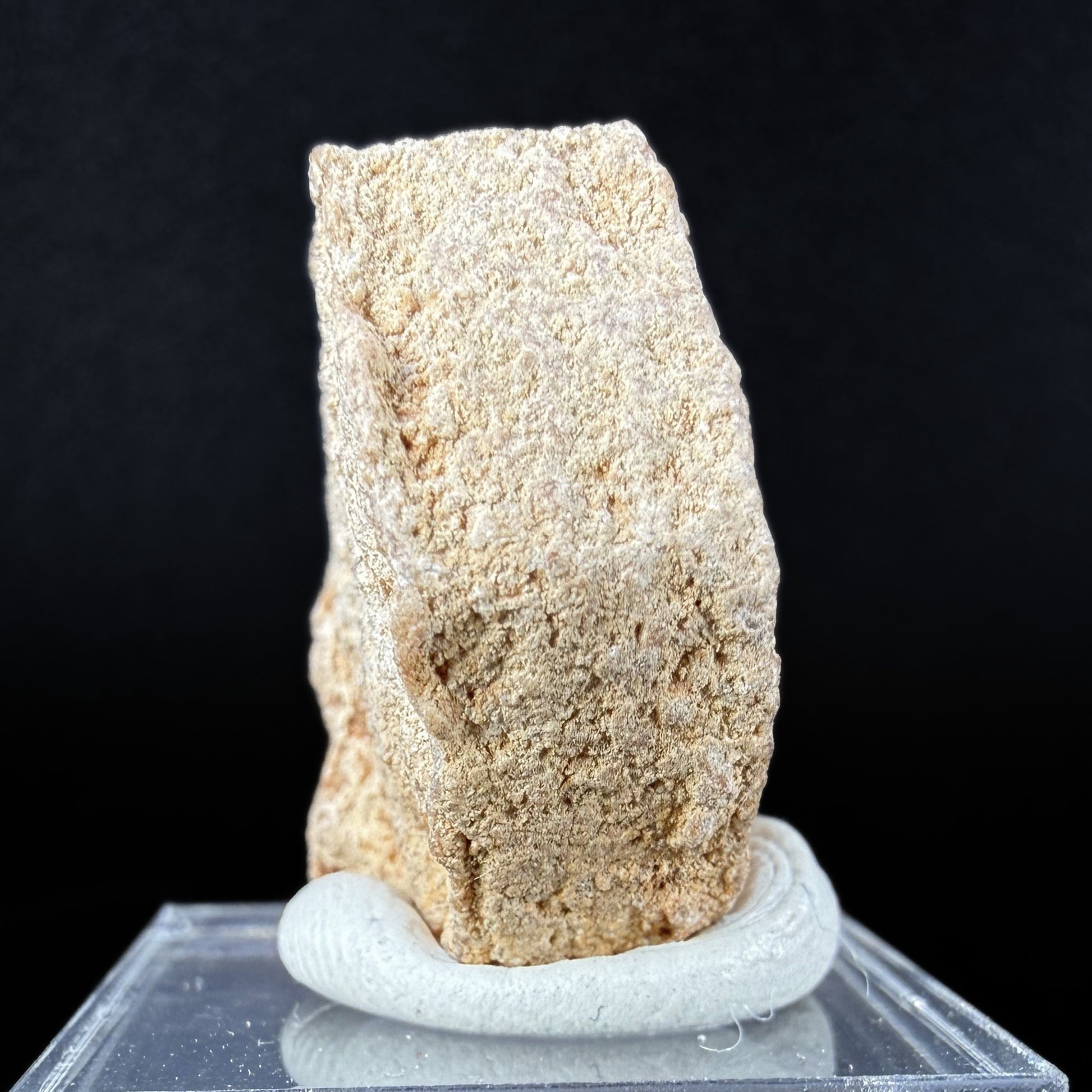 Aragonite "Indian Dollar"