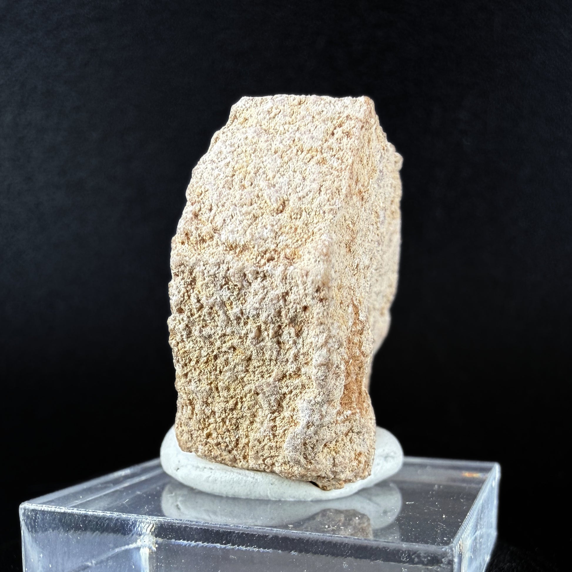 Aragonite "Indian Dollar"