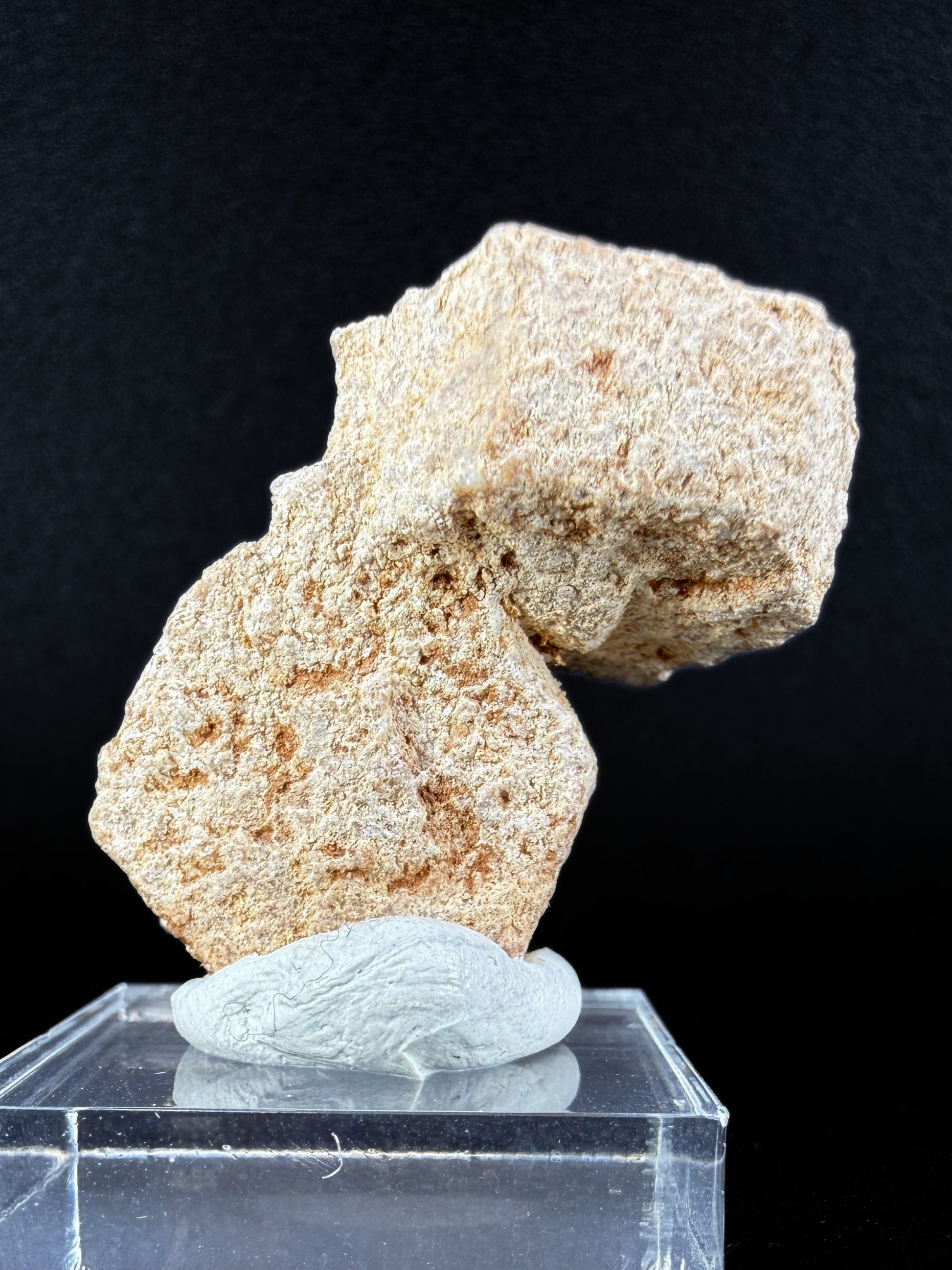 Aragonite "Indian Dollar"