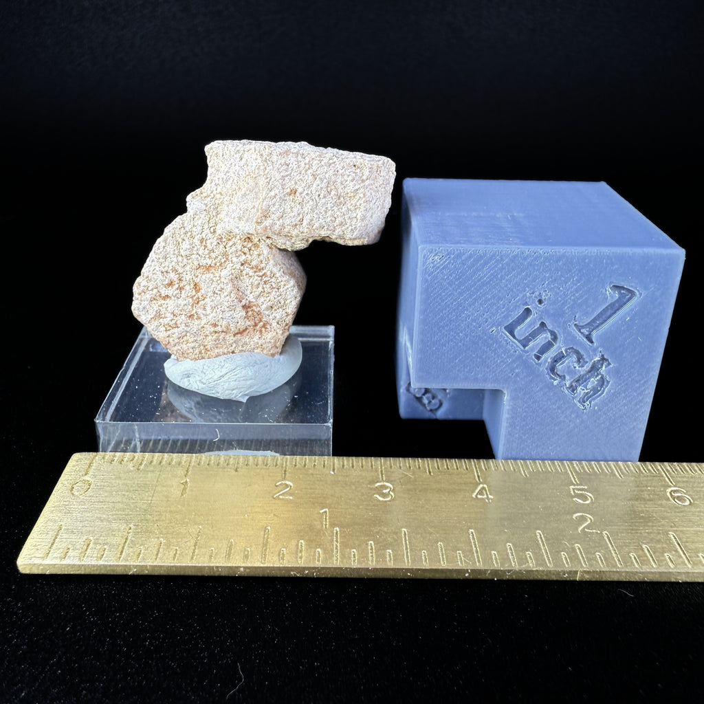 Aragonite "Indian Dollar"