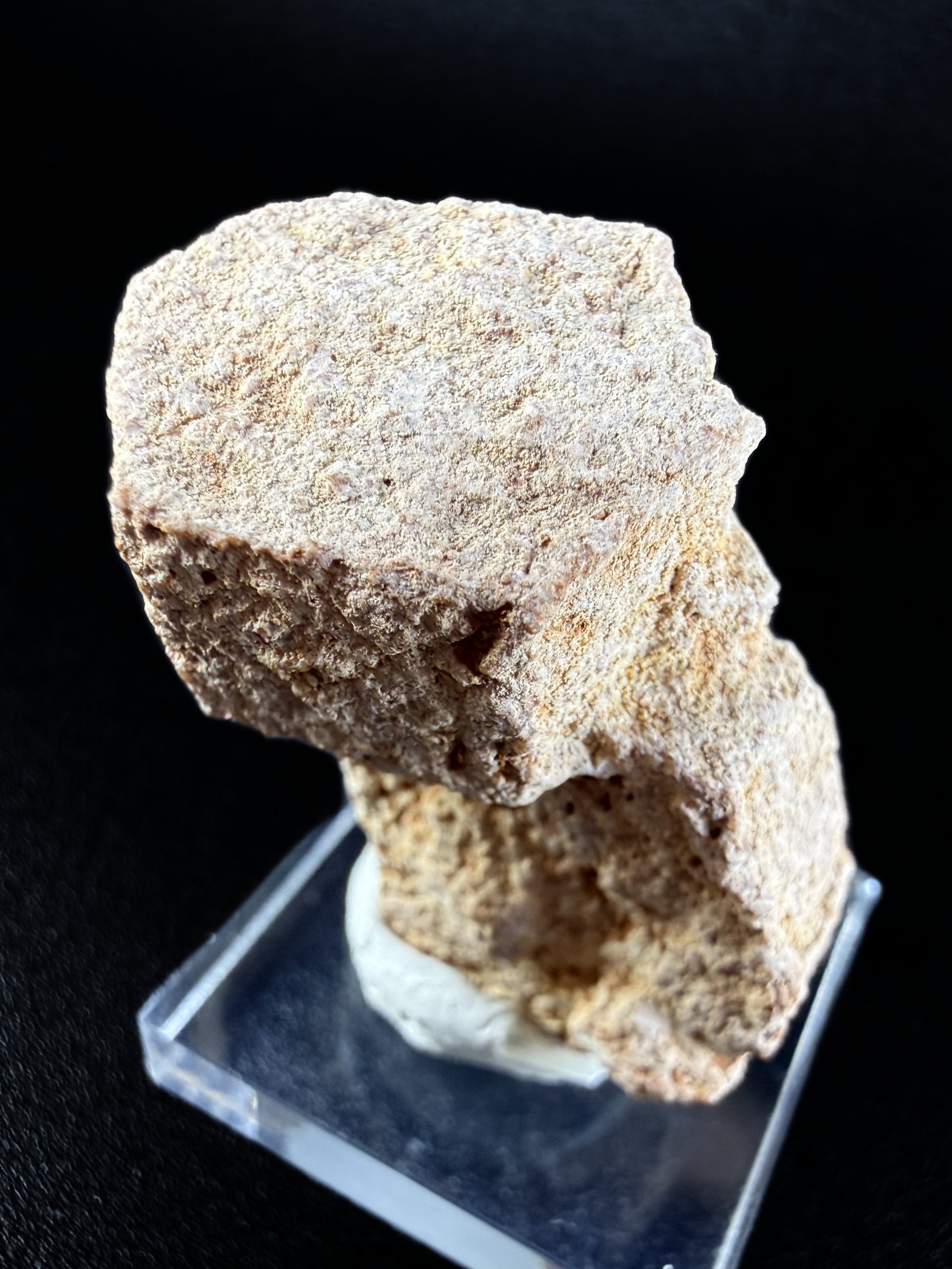 Aragonite "Indian Dollar"