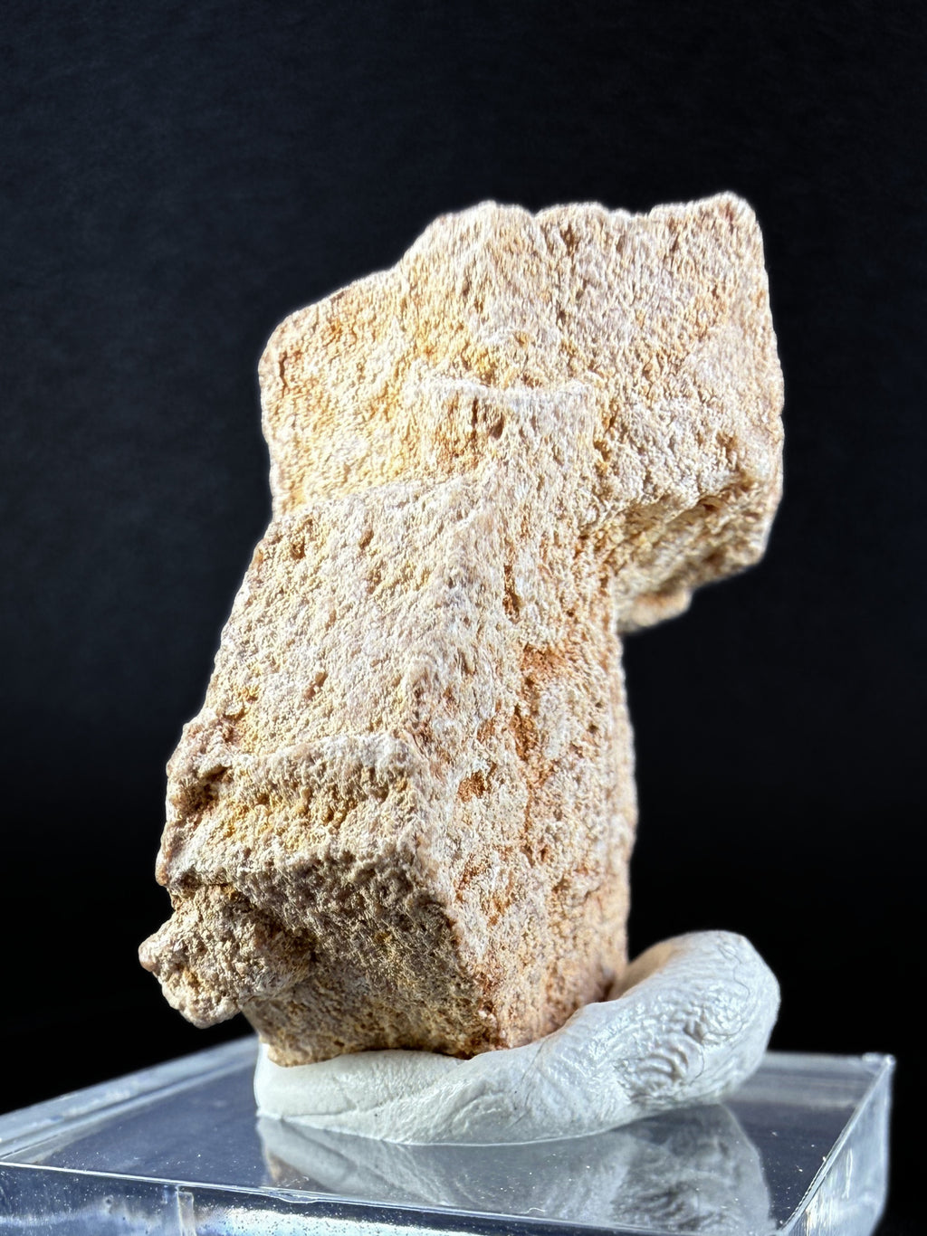 Aragonite "Indian Dollar"
