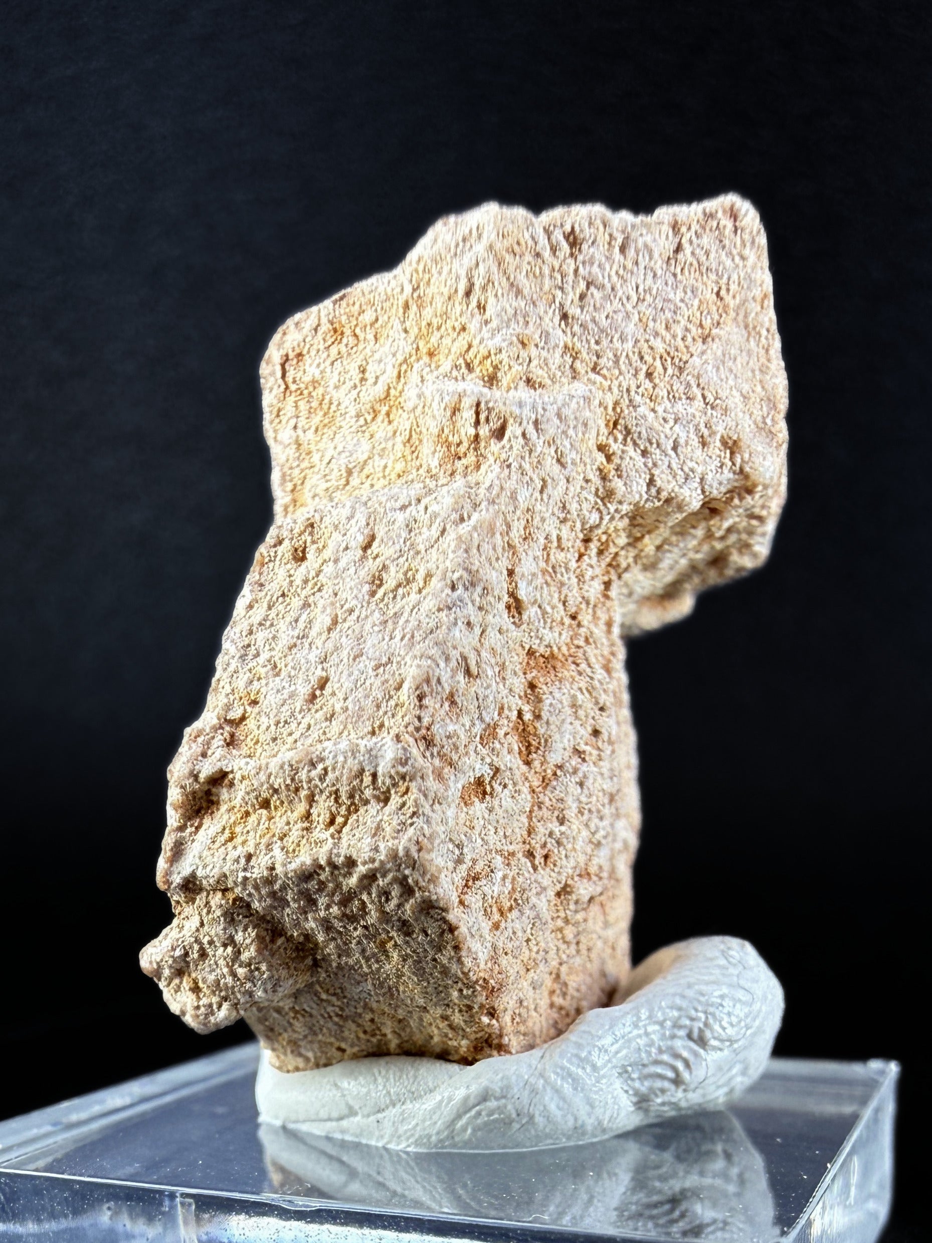 Aragonite "Indian Dollar"