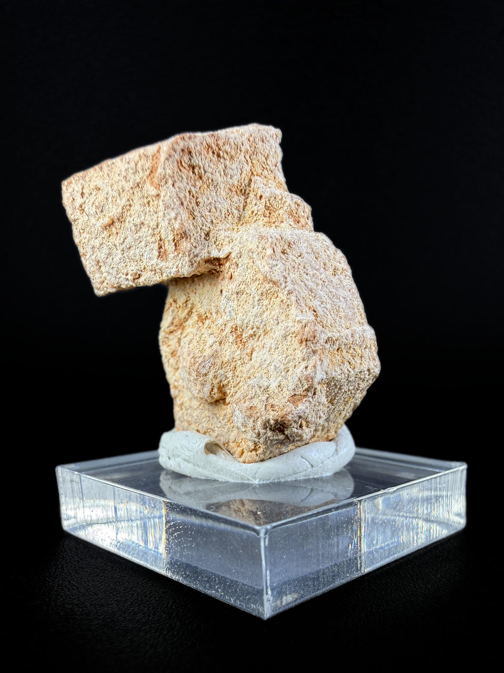 Aragonite "Indian Dollar"
