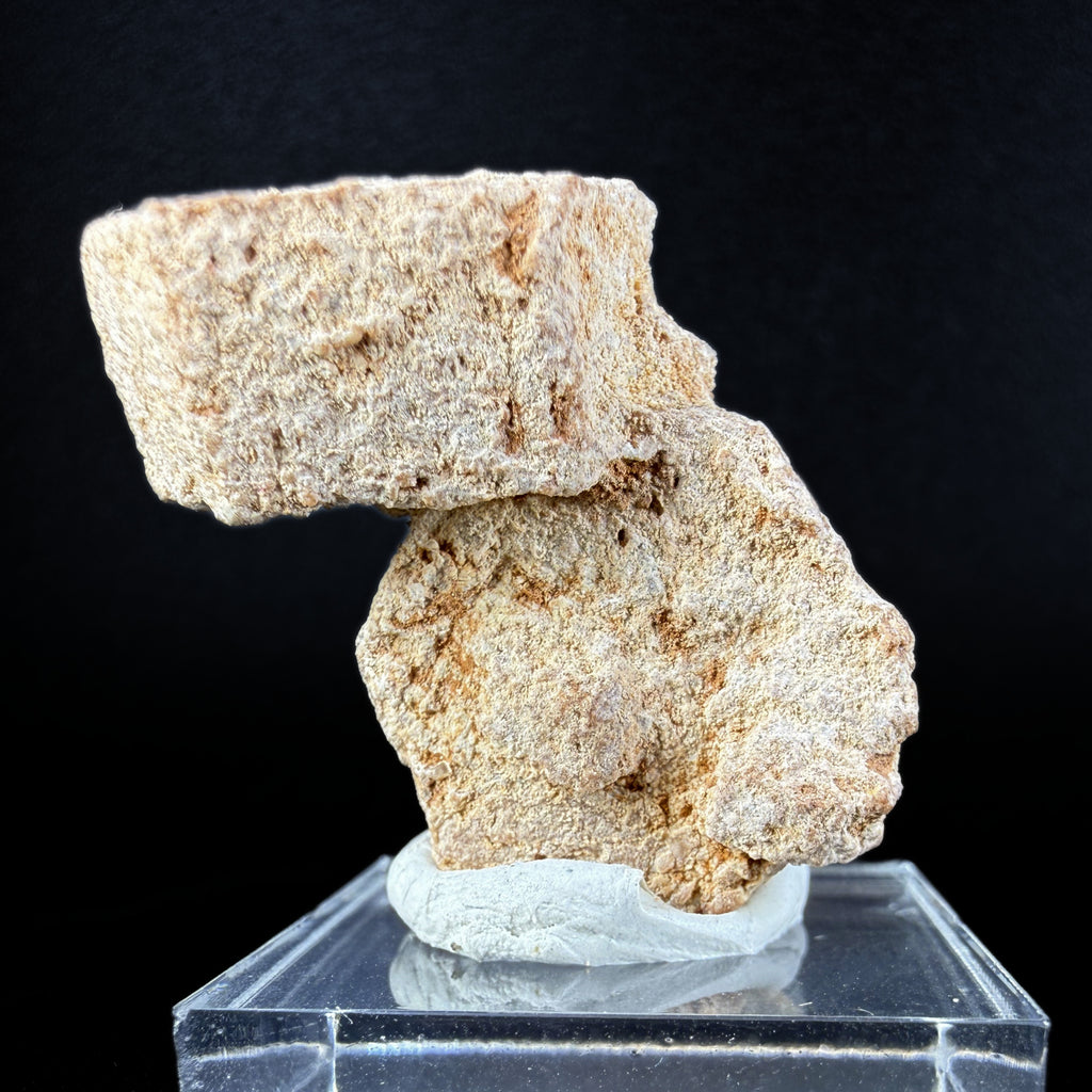 Aragonite "Indian Dollar"
