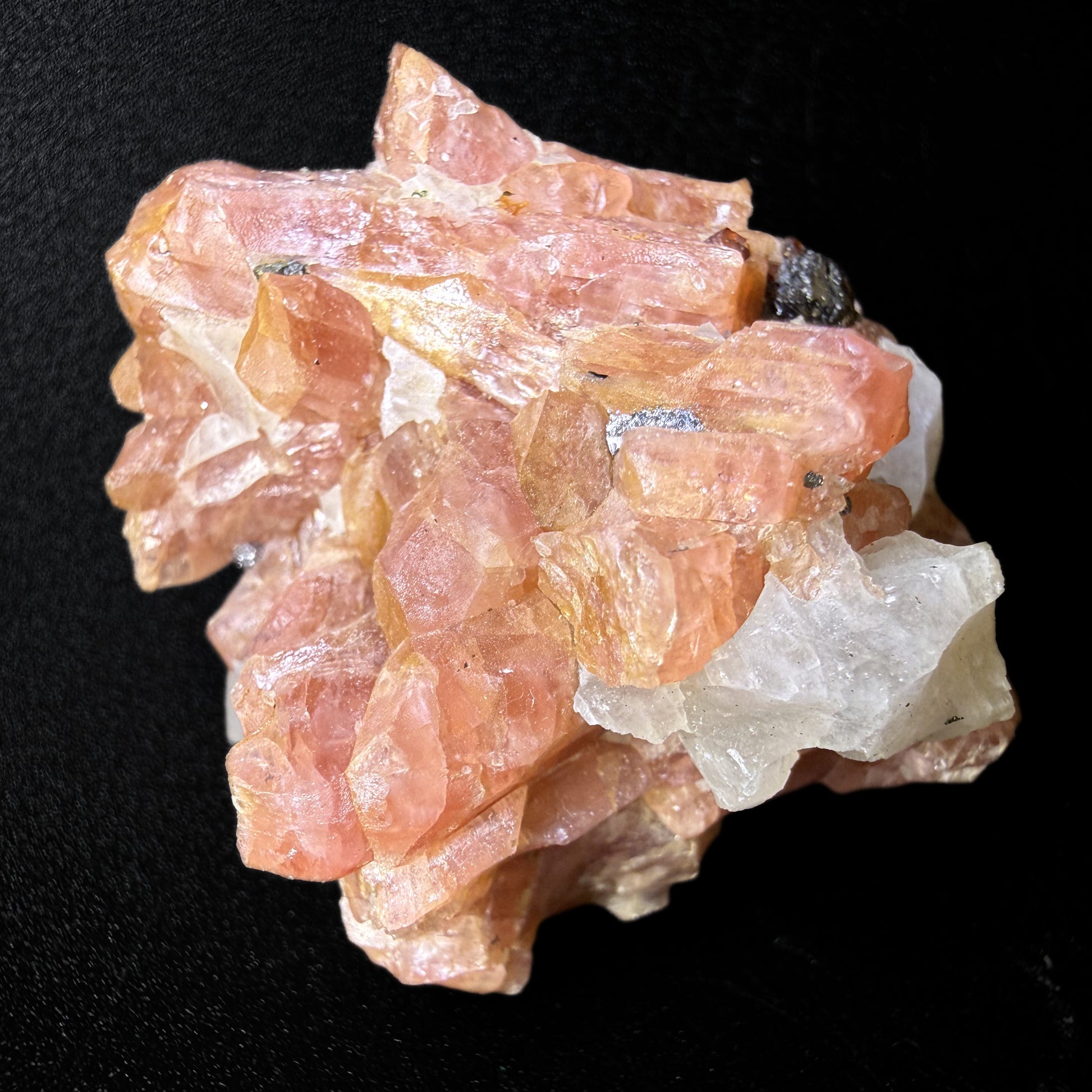 Bustamite