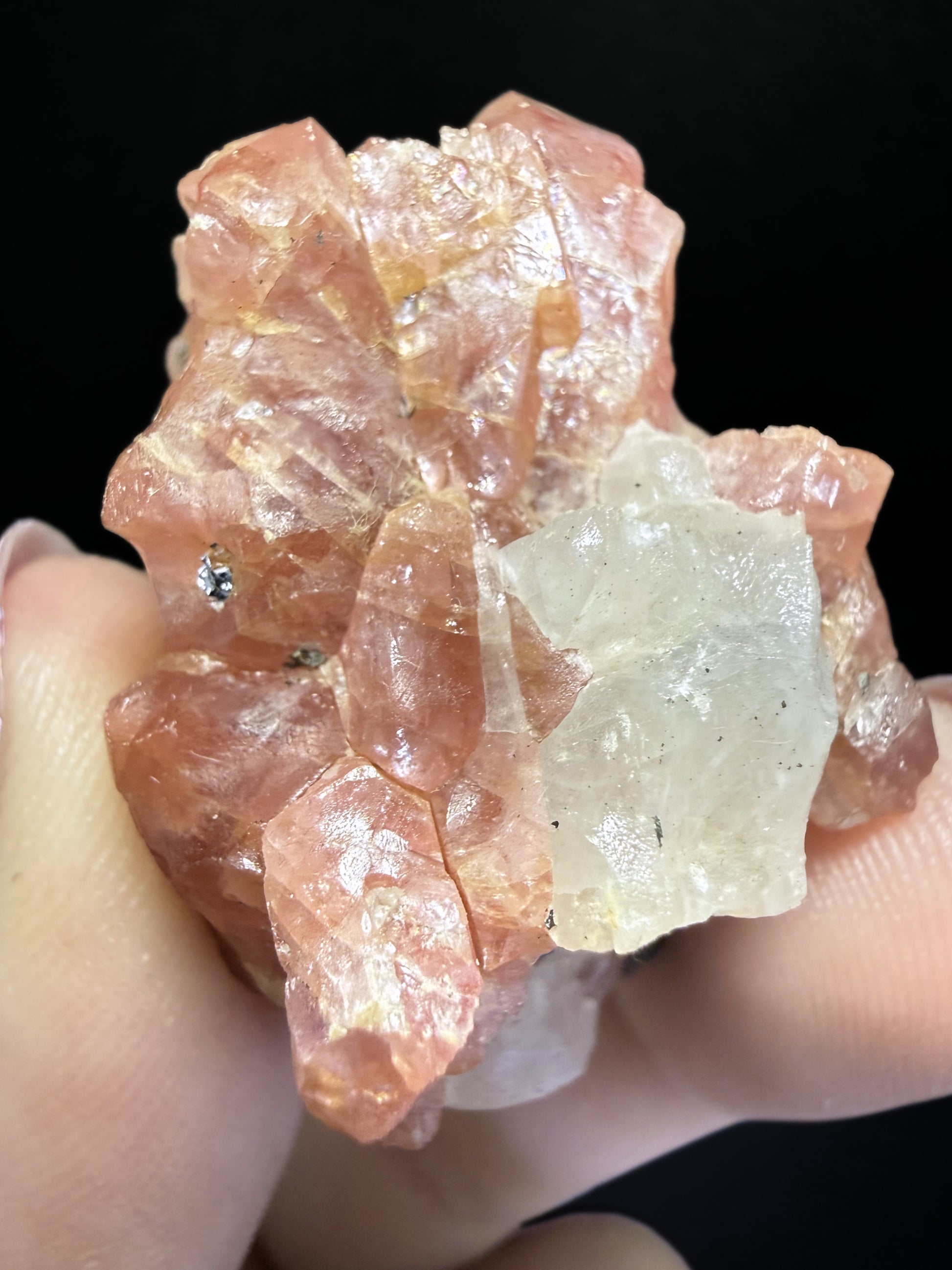 Bustamite