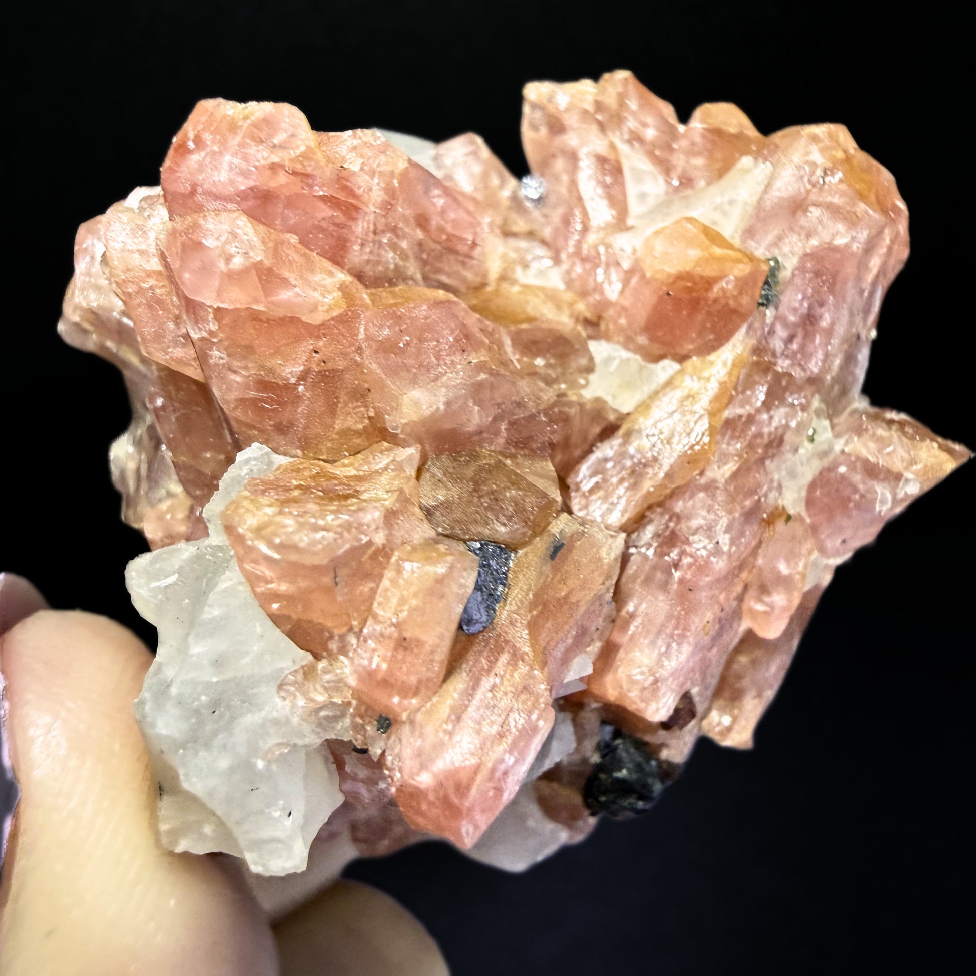 Bustamite