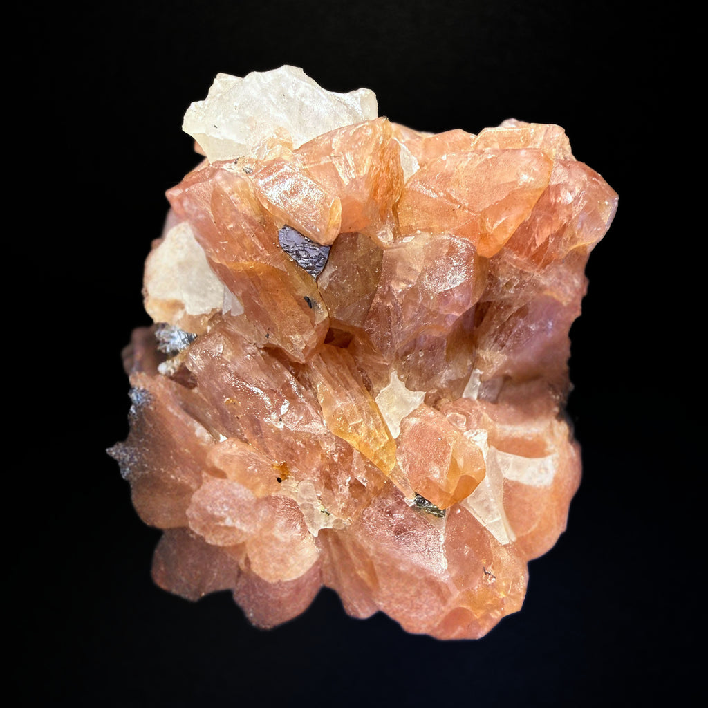 Bustamite