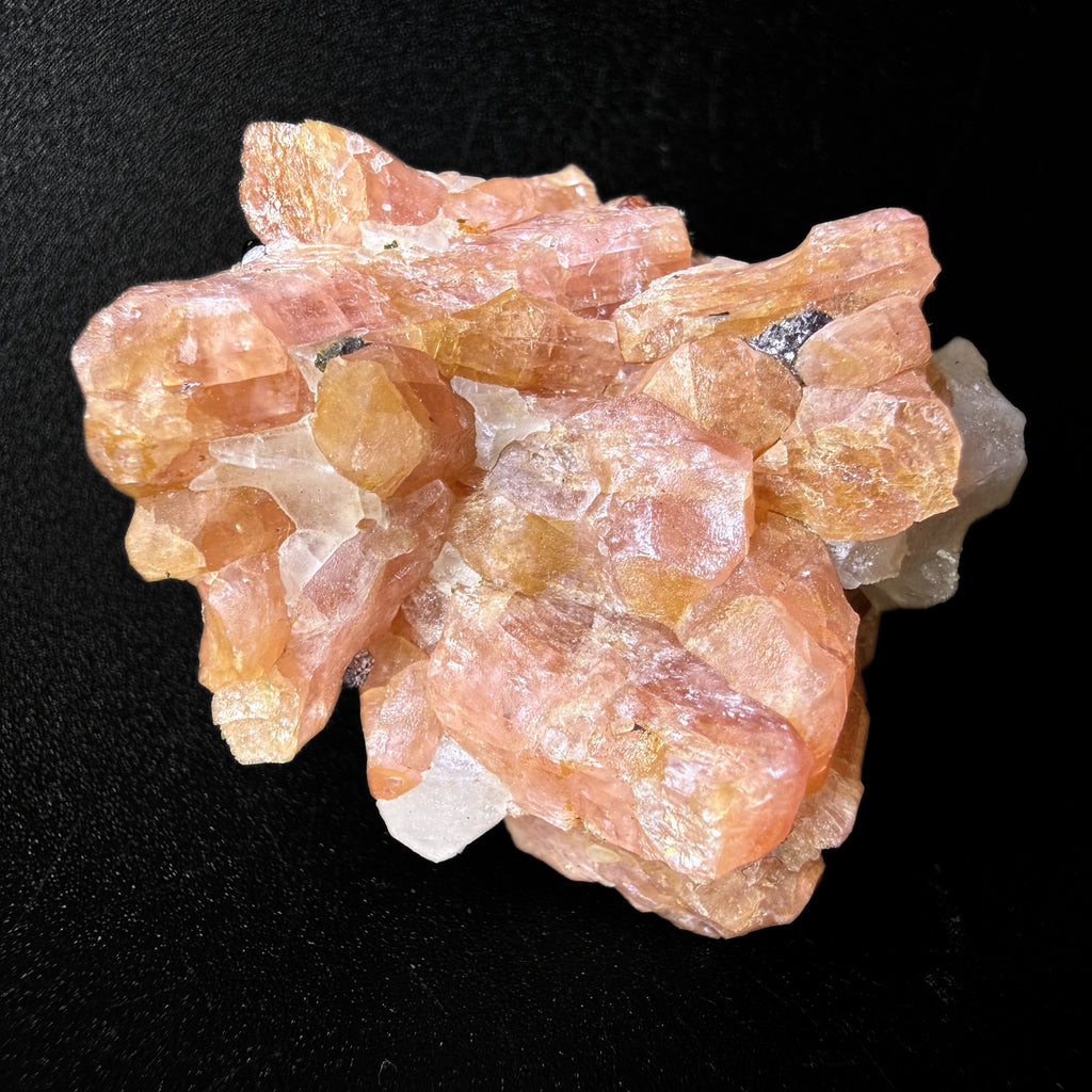 Bustamite