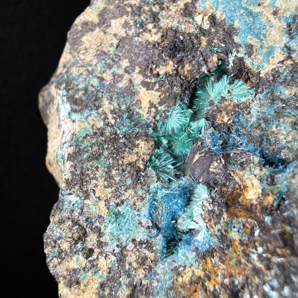 Serpierite