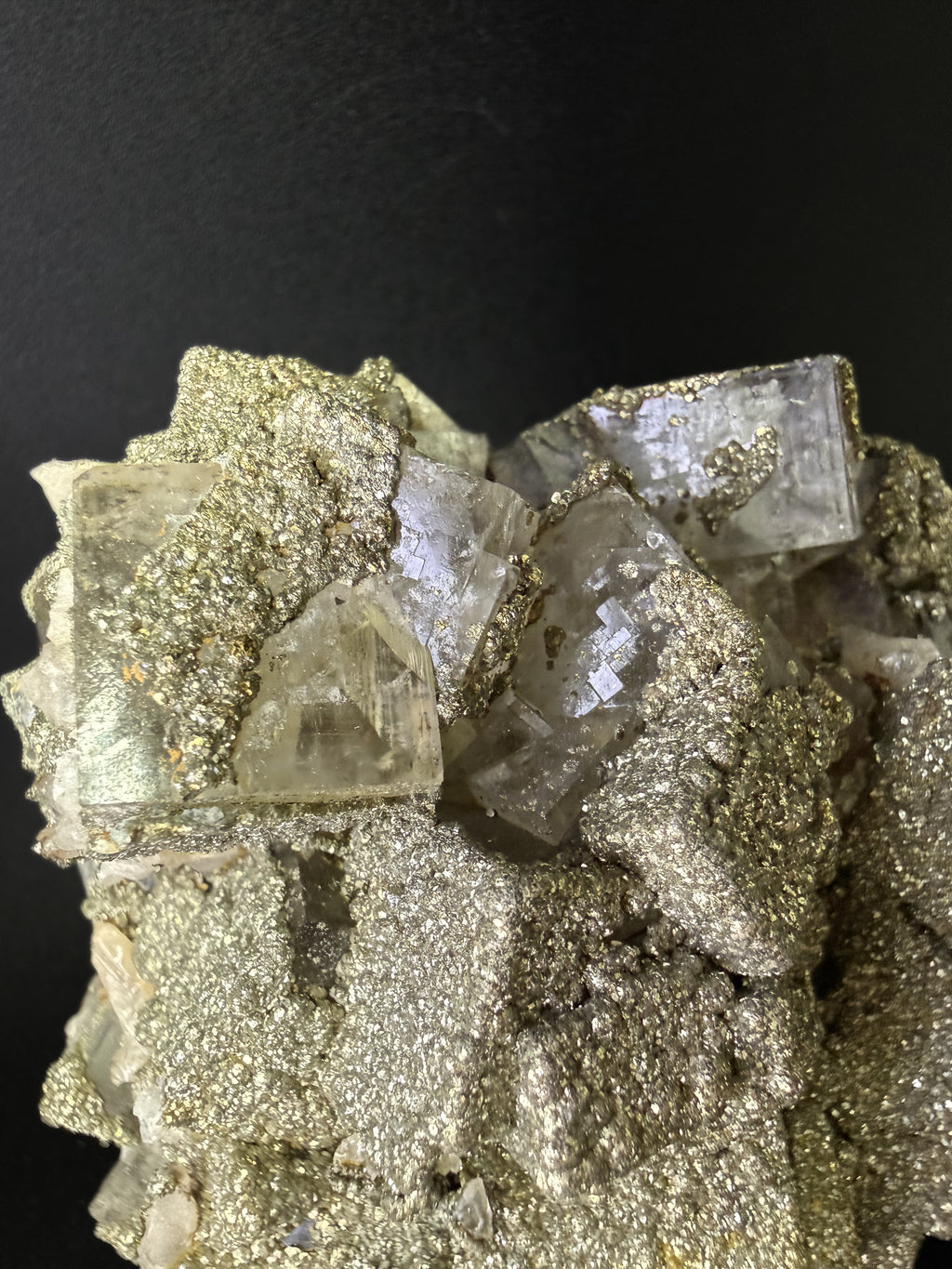 Pyrite on Fluorite