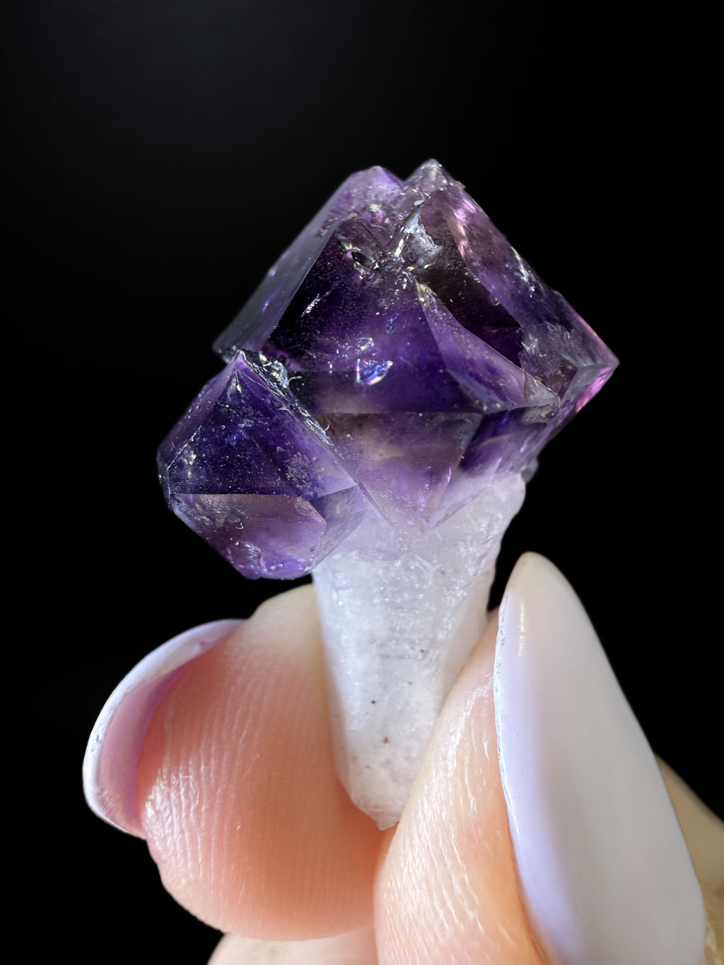 Amethyst Scepters