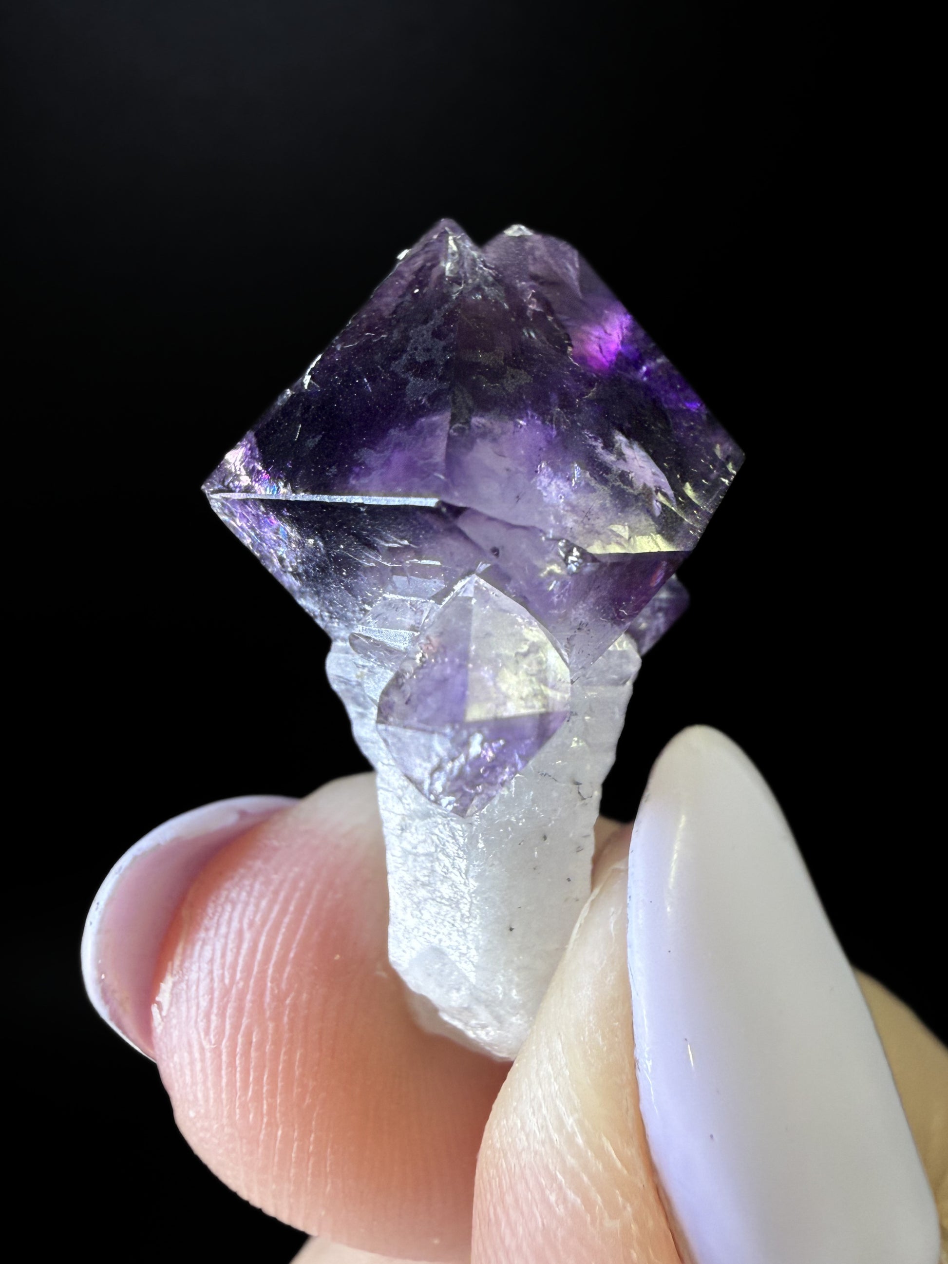 Amethyst Scepters