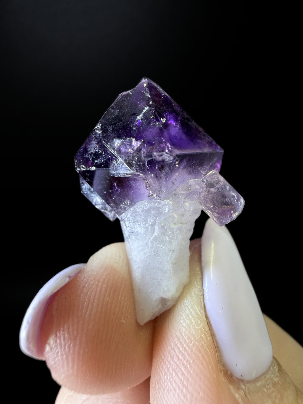 Amethyst Scepters
