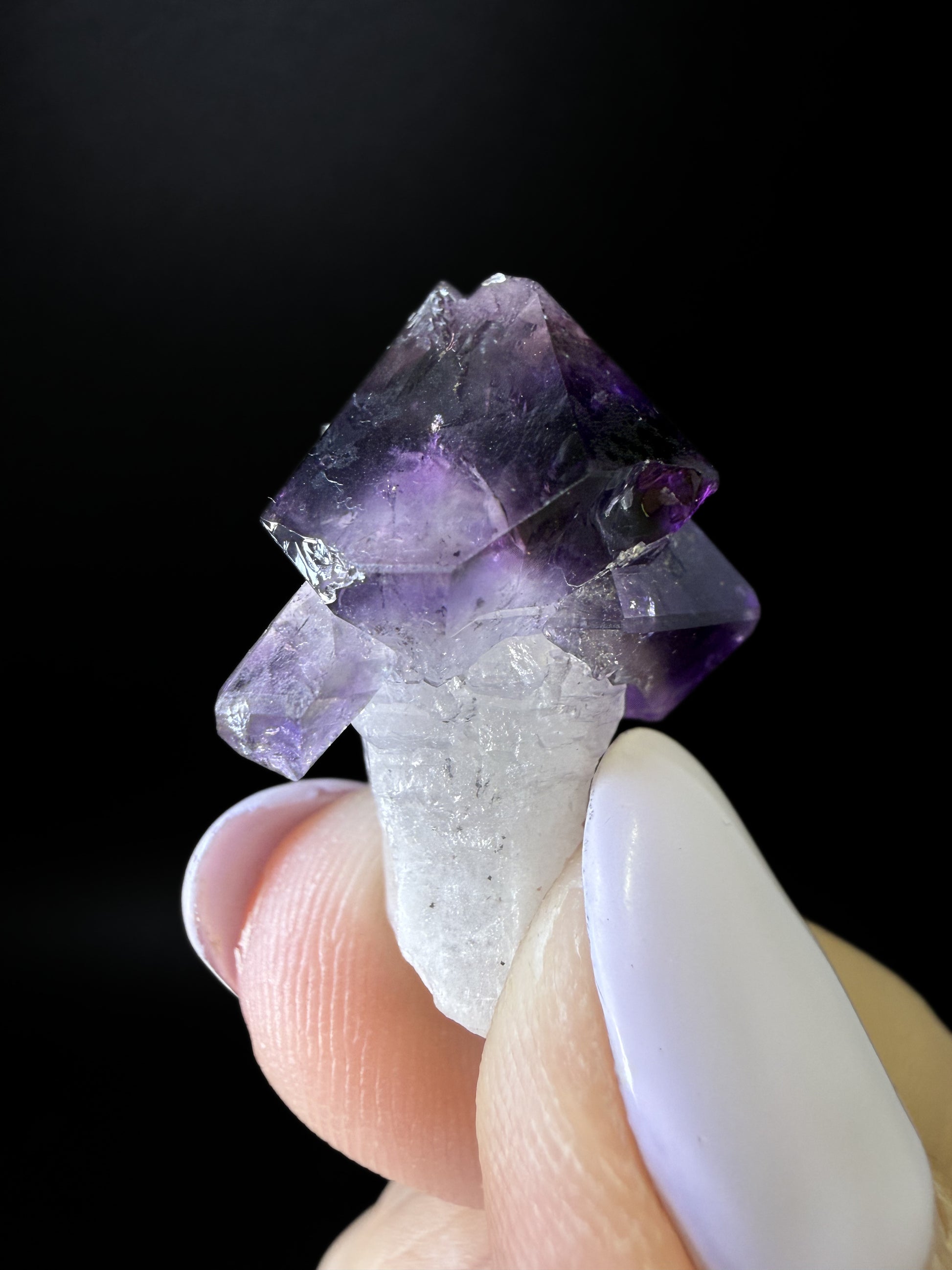 Amethyst Scepters
