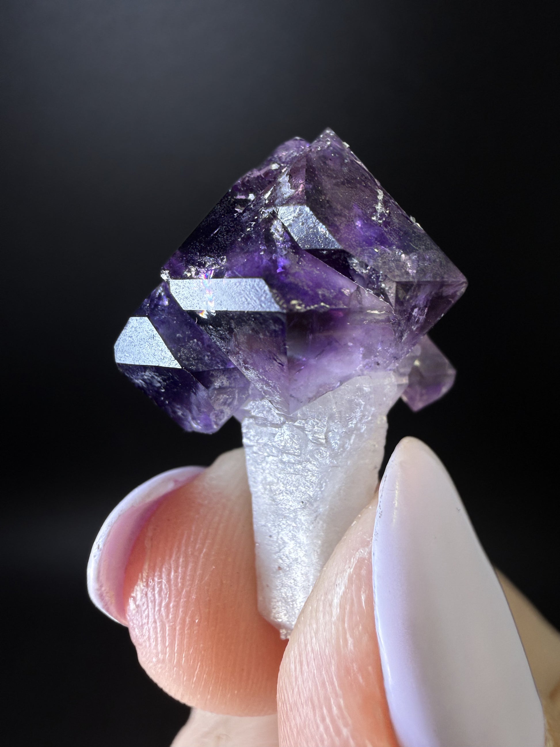 Amethyst Scepters