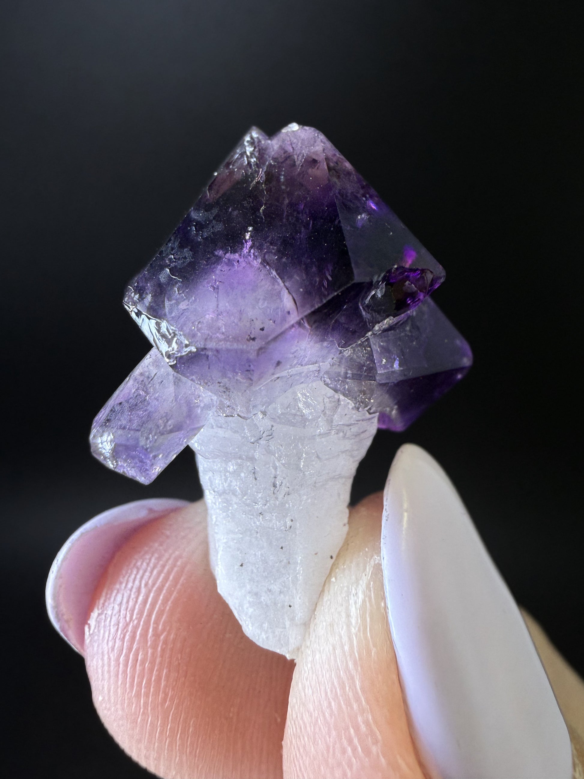 Amethyst Scepters