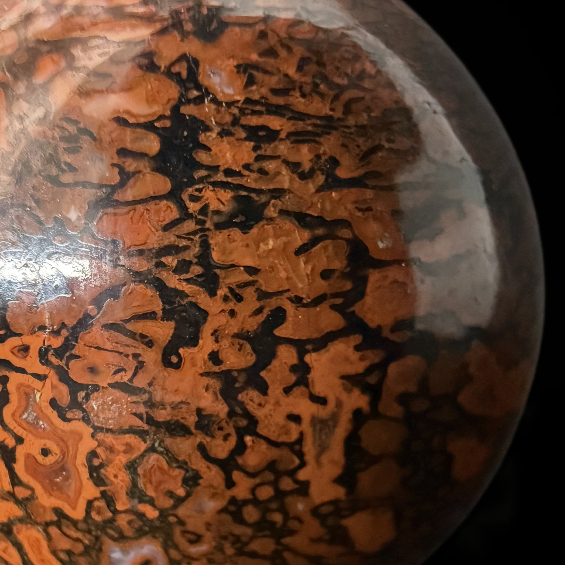 Dinosaur Gem Bone Sphere