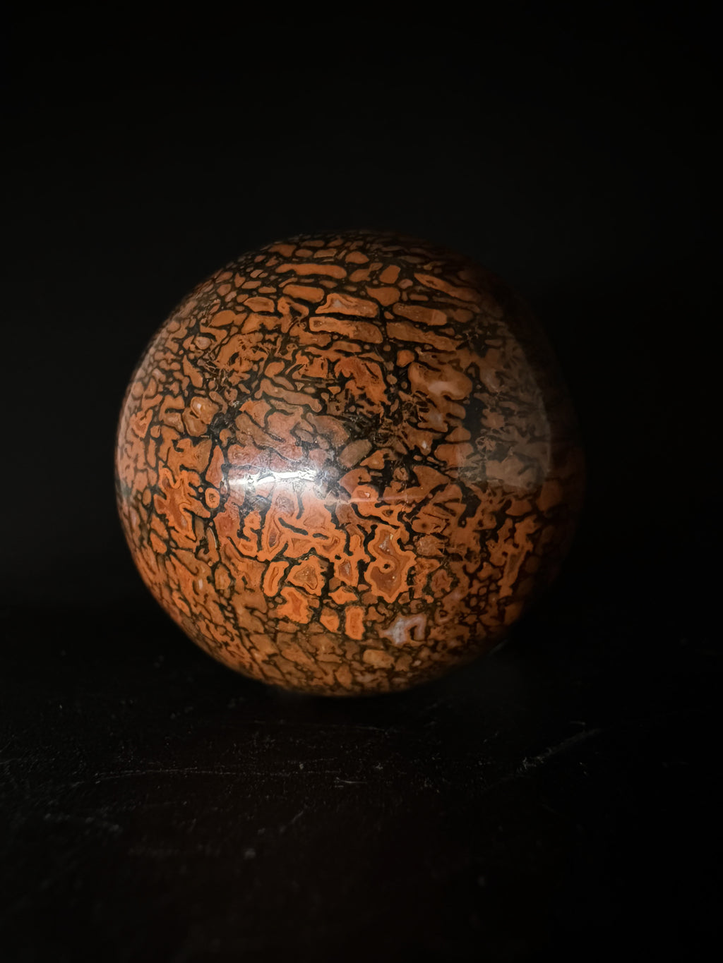 Dinosaur Gem Bone Sphere