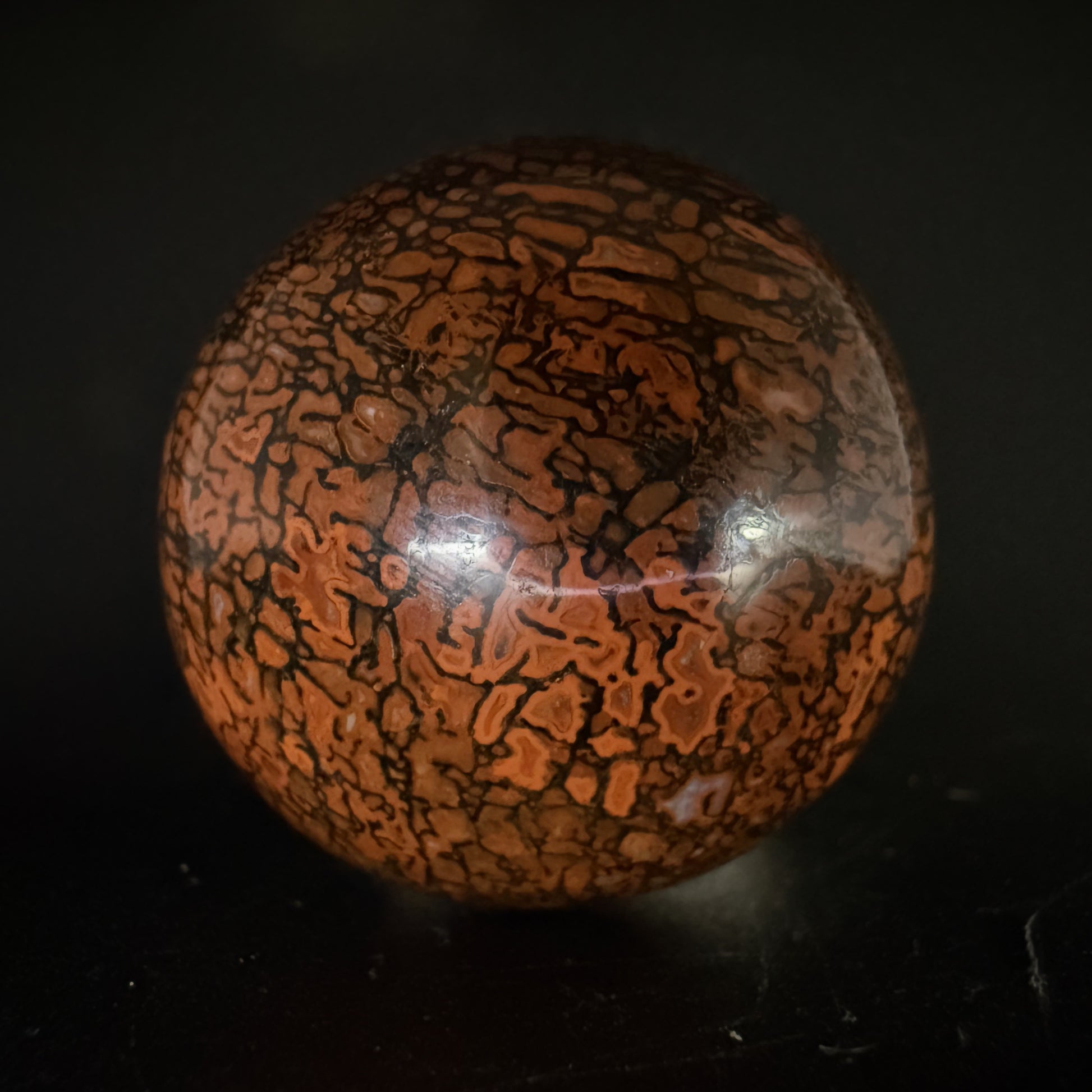 Dinosaur Gem Bone Sphere