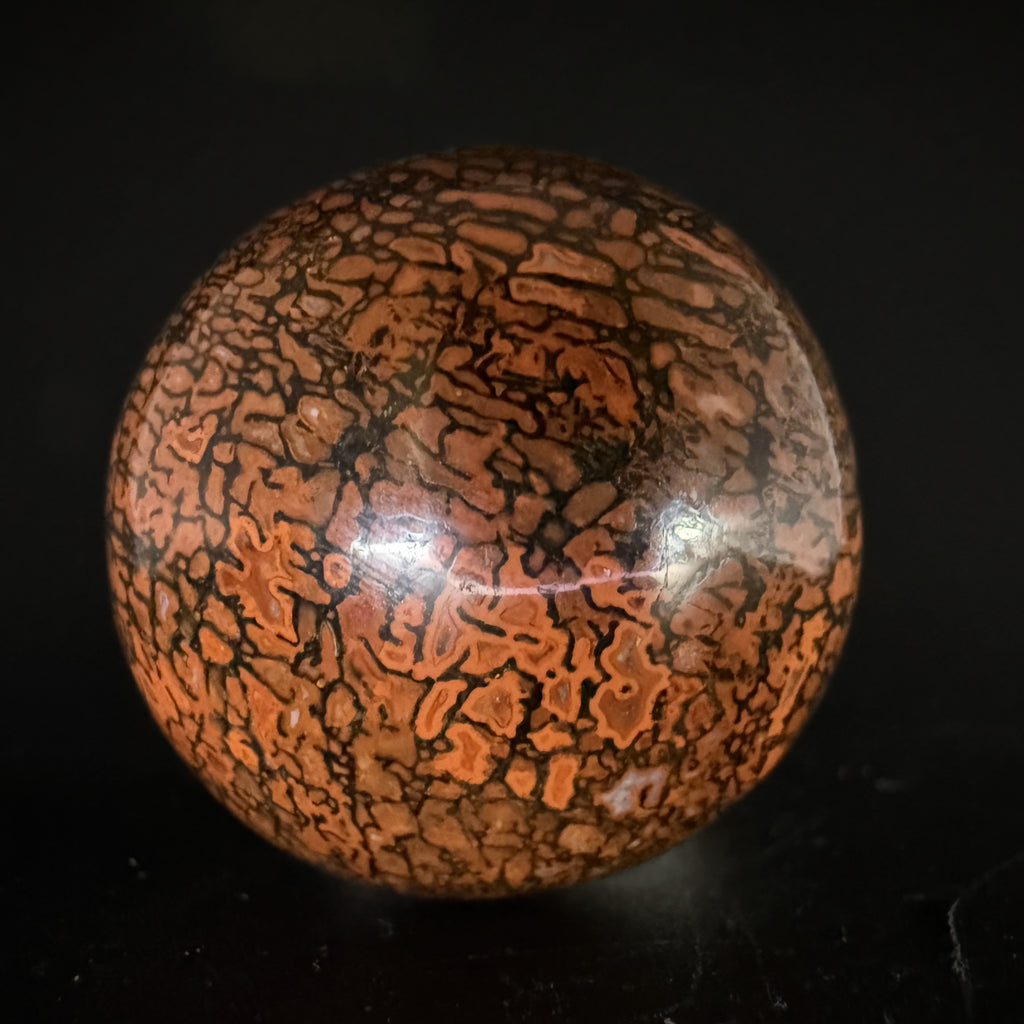 Dinosaur Gem Bone Sphere